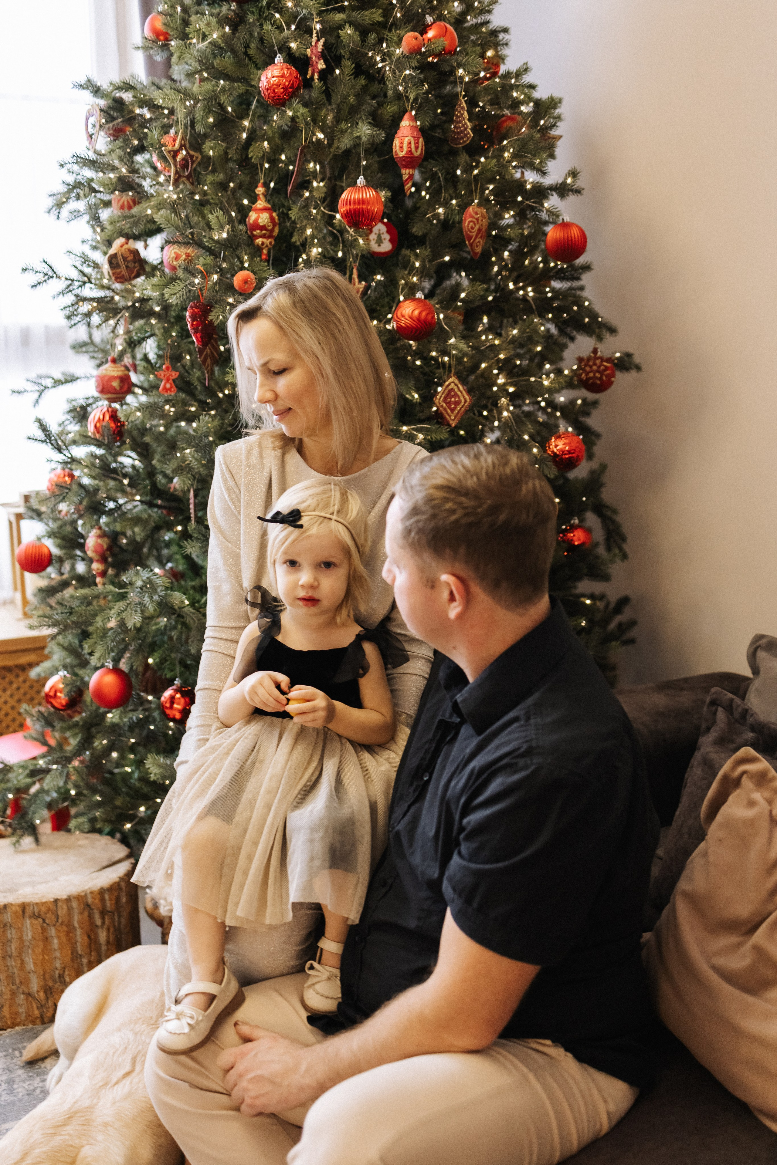 Новогодние. Семейный, детский и женский фотограф Дарина Старшинова в Твери