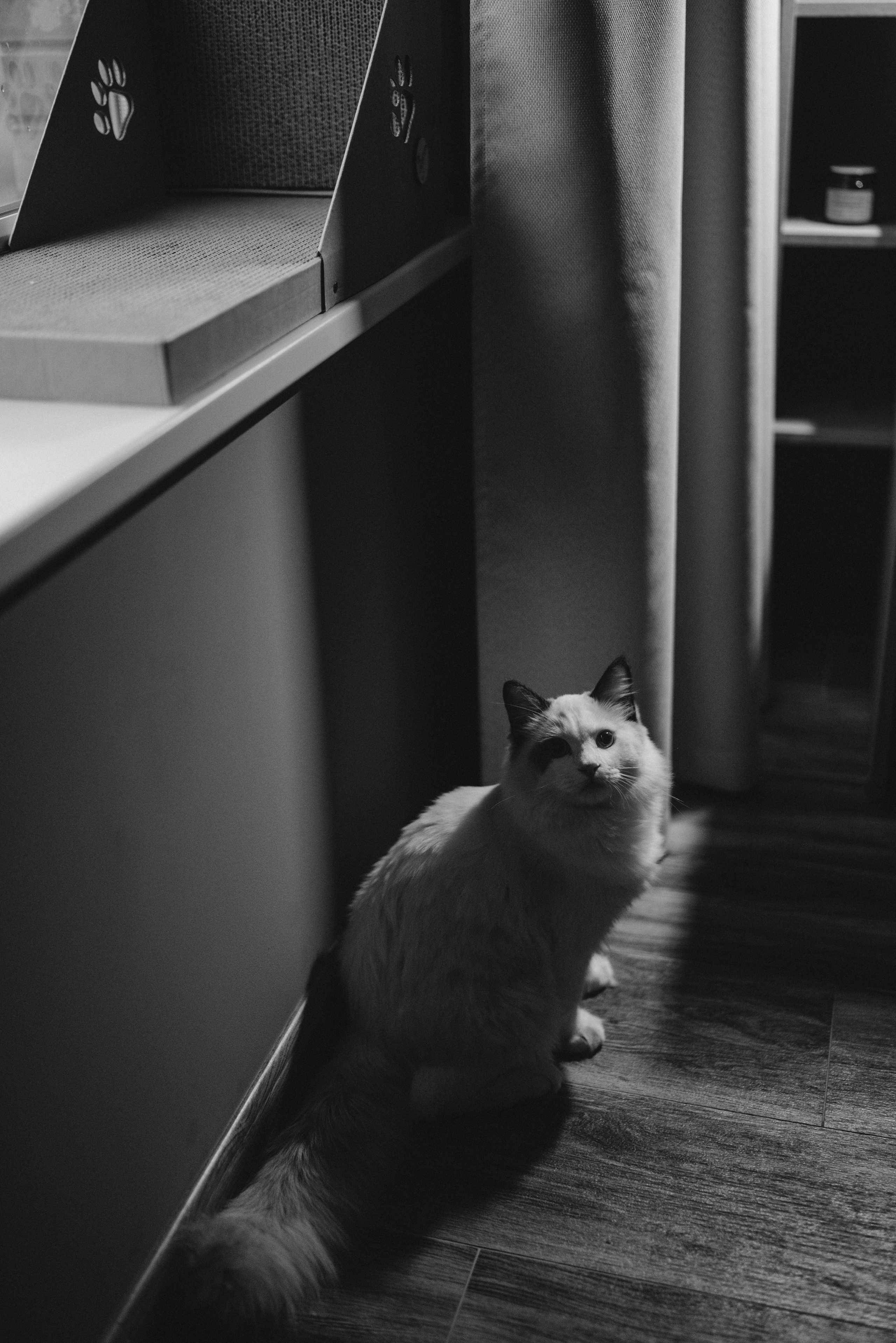 В гостях у Дани и Насти. Фотограф Костикова Анастасия Ростов-на-Дону