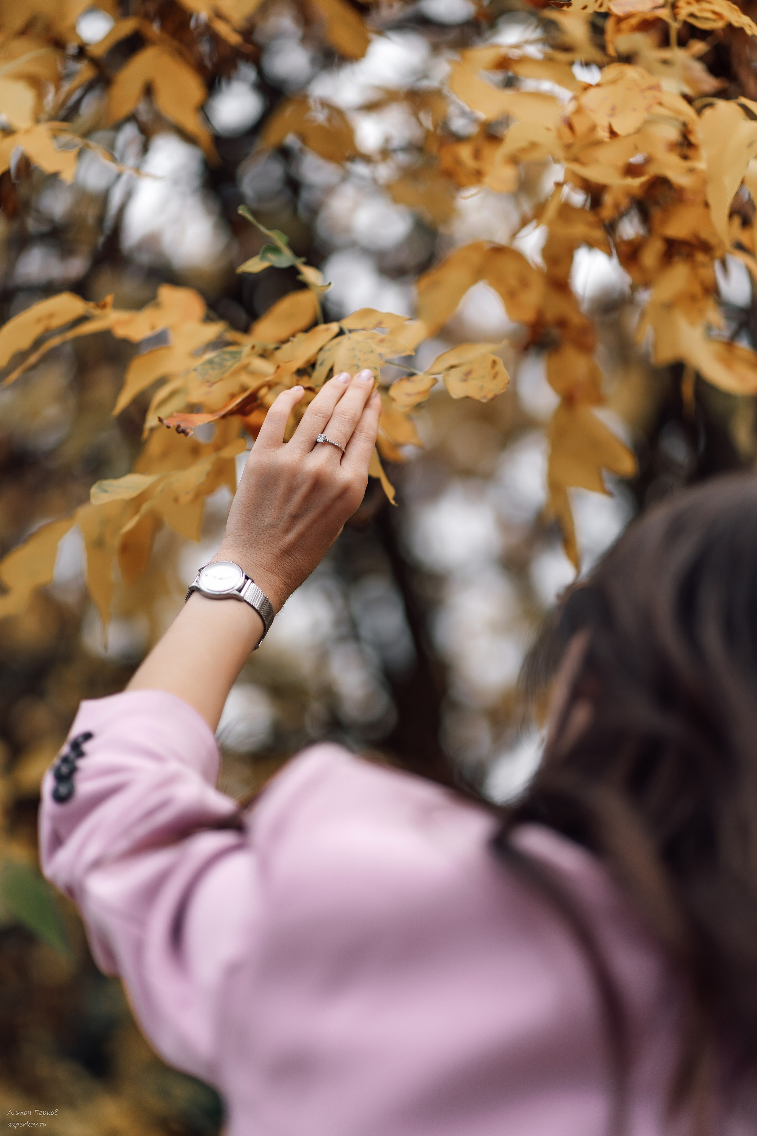 Pinkberry. Фотограф Антон Перков