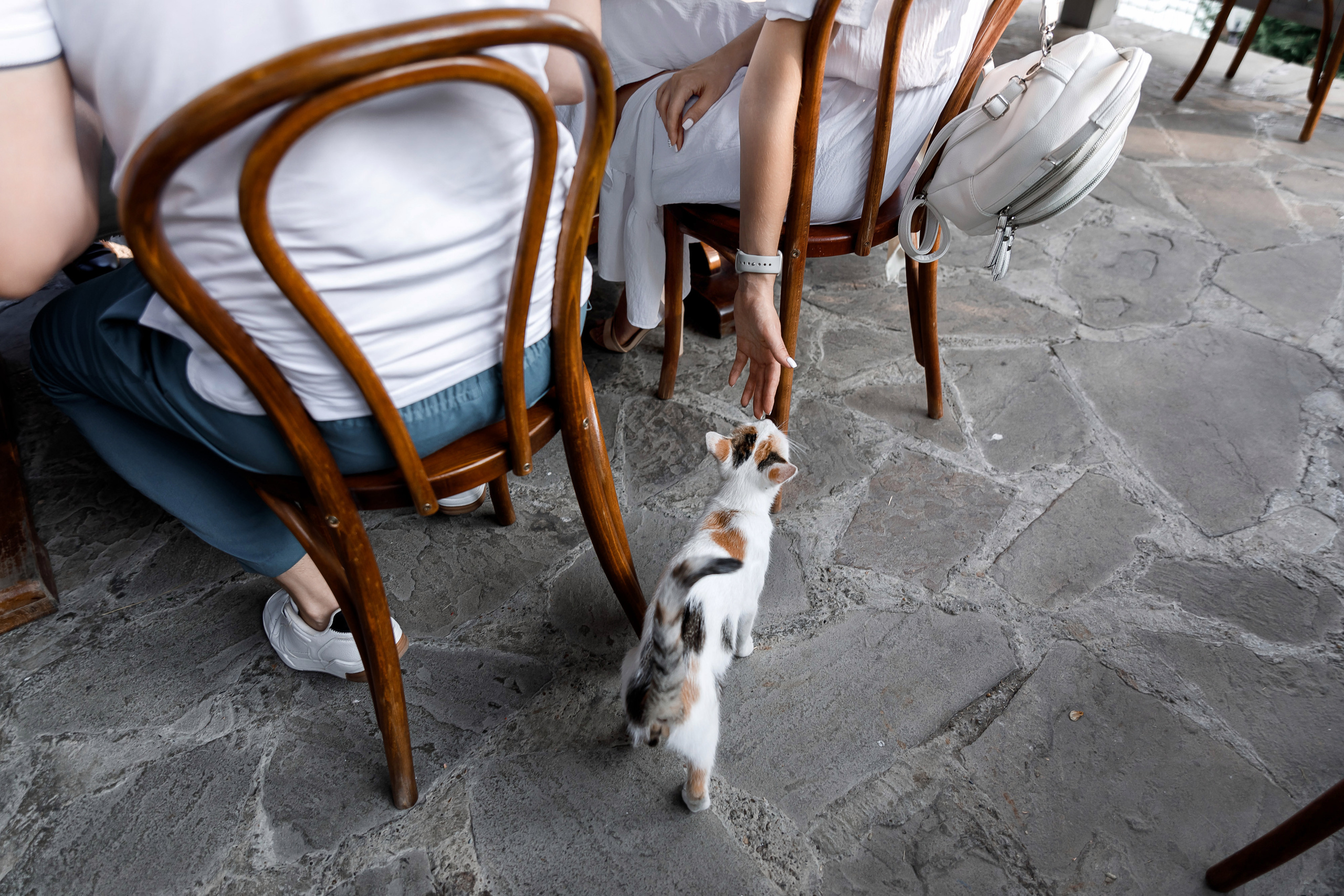 «Абрау‑Дюрсо» Вилла Роз. Виктор Белик, Свадебный Фотограф Краснодар