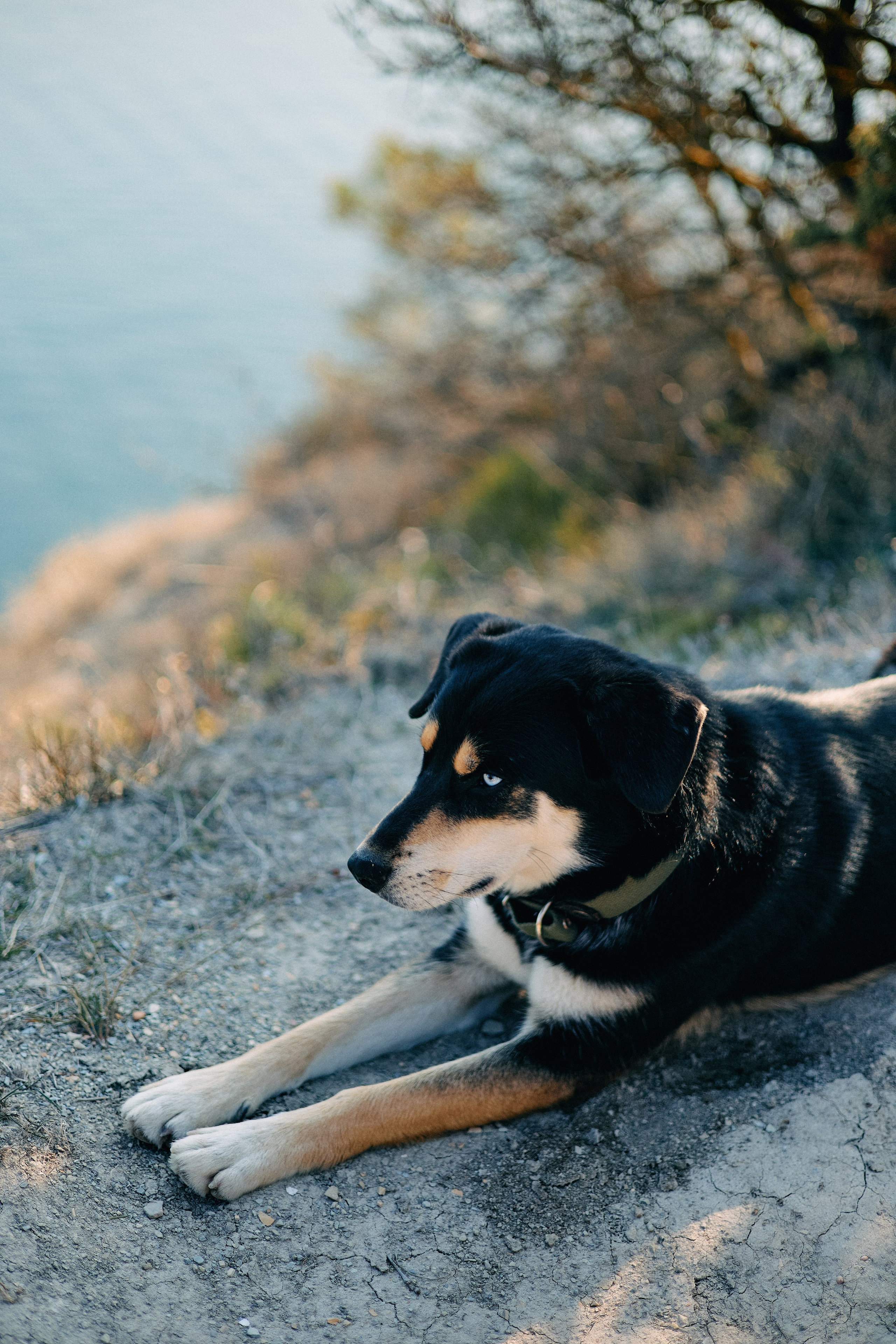 Юг России. Профессиональный Фотограф во Владимире, в Москве и в Суздале — Полина Романычева