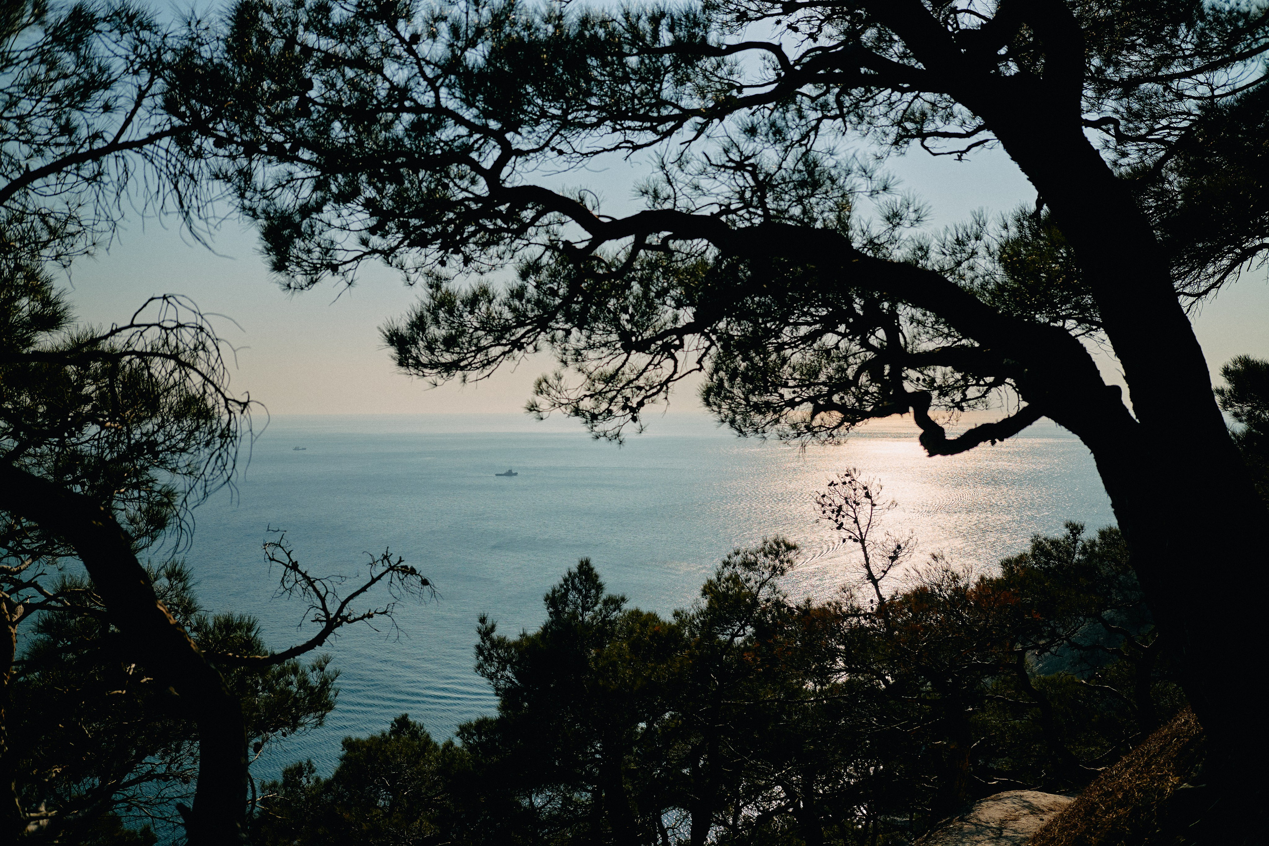 Юг России. Профессиональный Фотограф во Владимире, в Москве и в Суздале — Полина Романычева