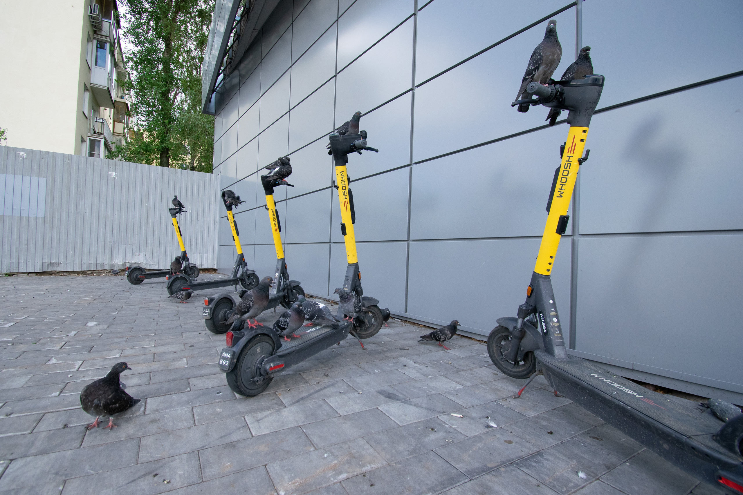 РГ. Самокаты. Iliya Soldatkin Fine Art Photography