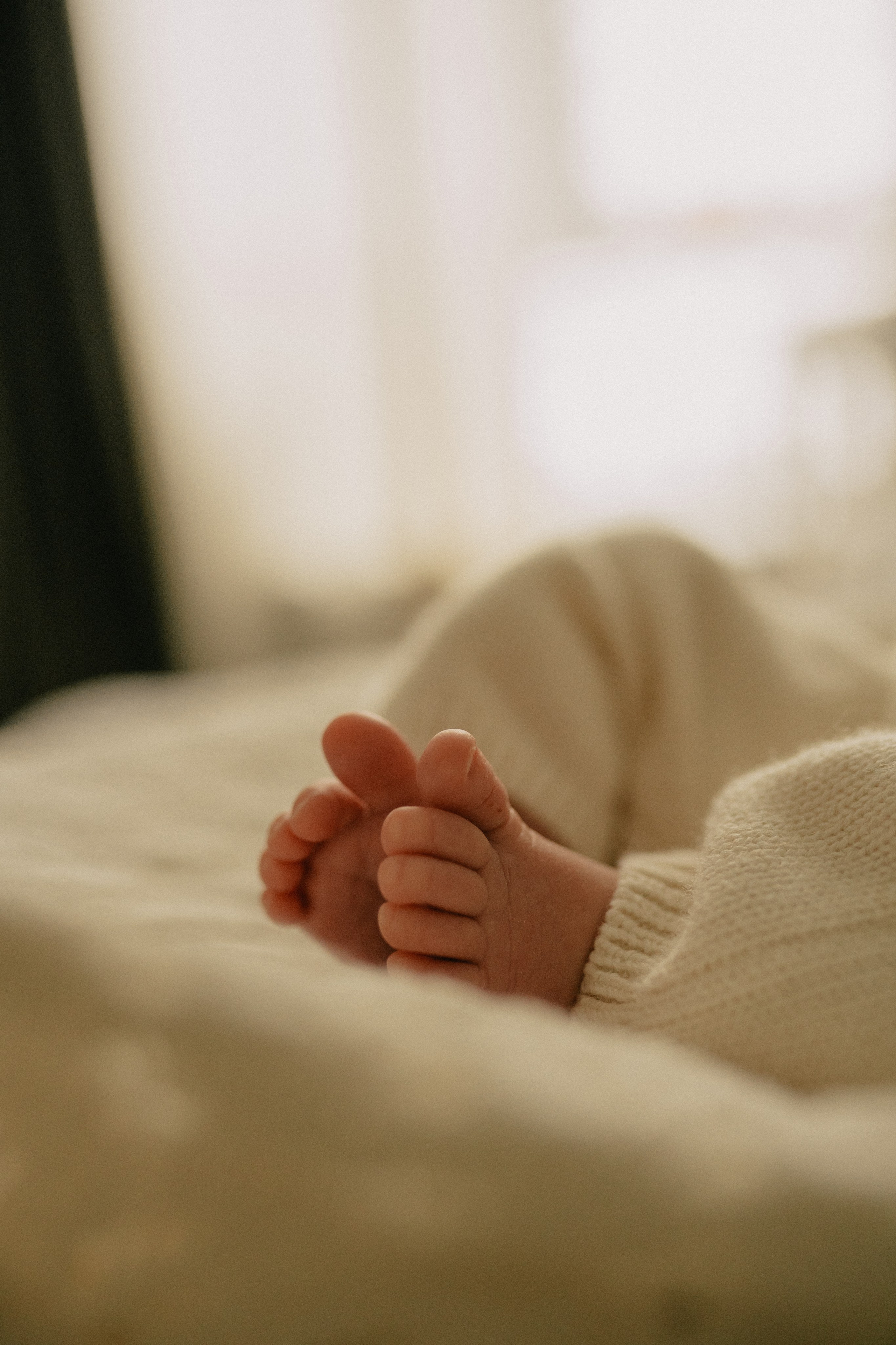 Лена, Игорь, Арина, Агата. Семейный фотограф Москва