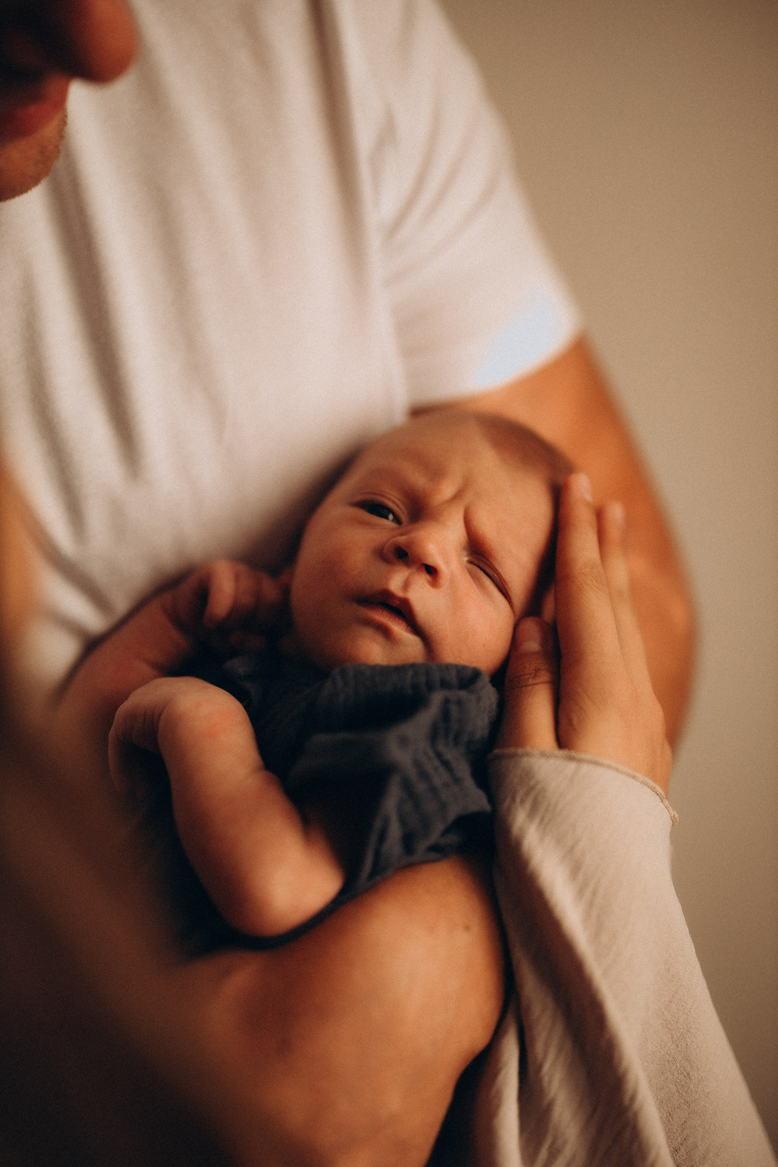 Платон. Евгения Пелипас