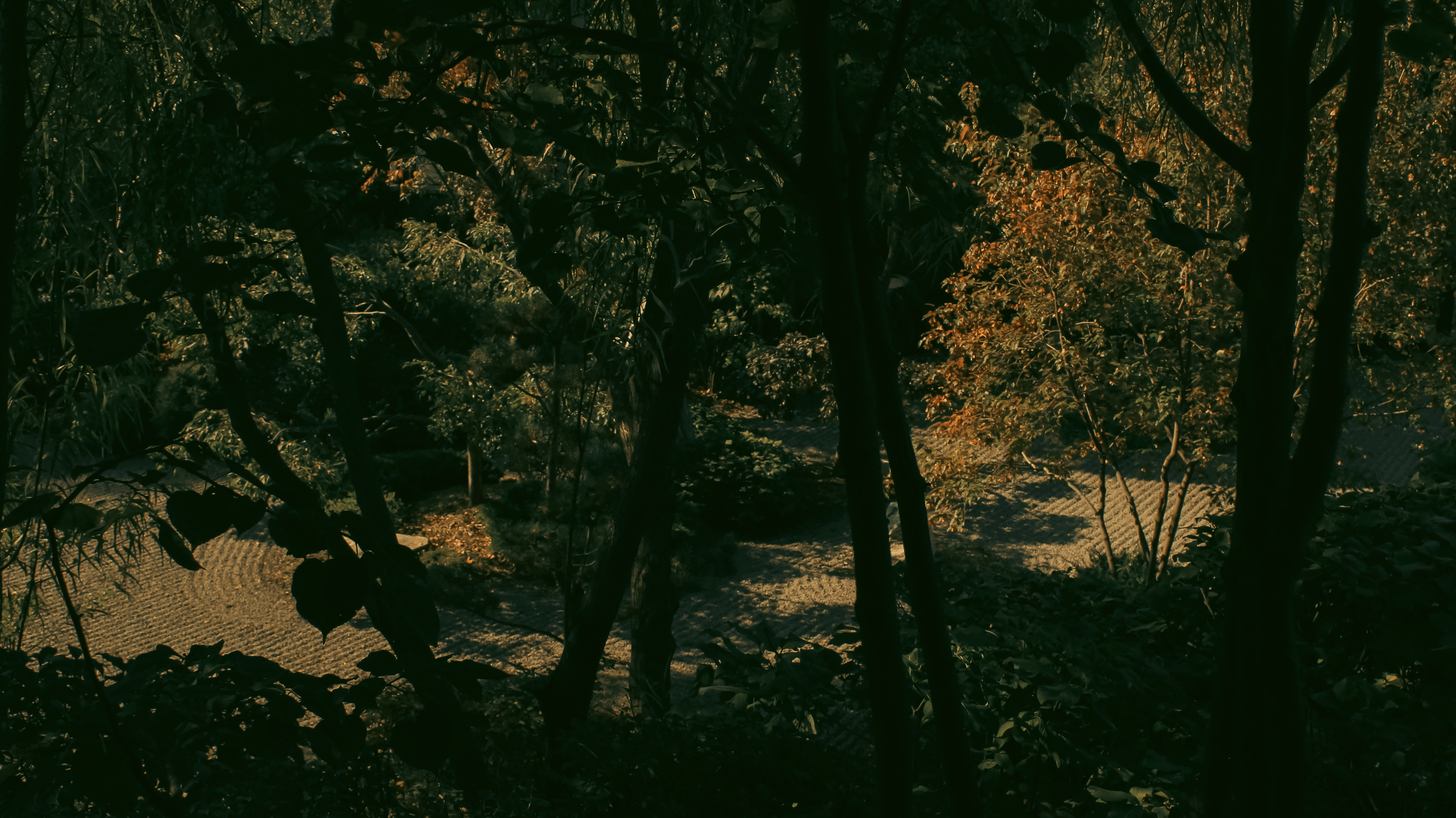 TMN ivapark '24. Фотограф/дизайнер в Екатеринбурге Хитрый Дмитрий