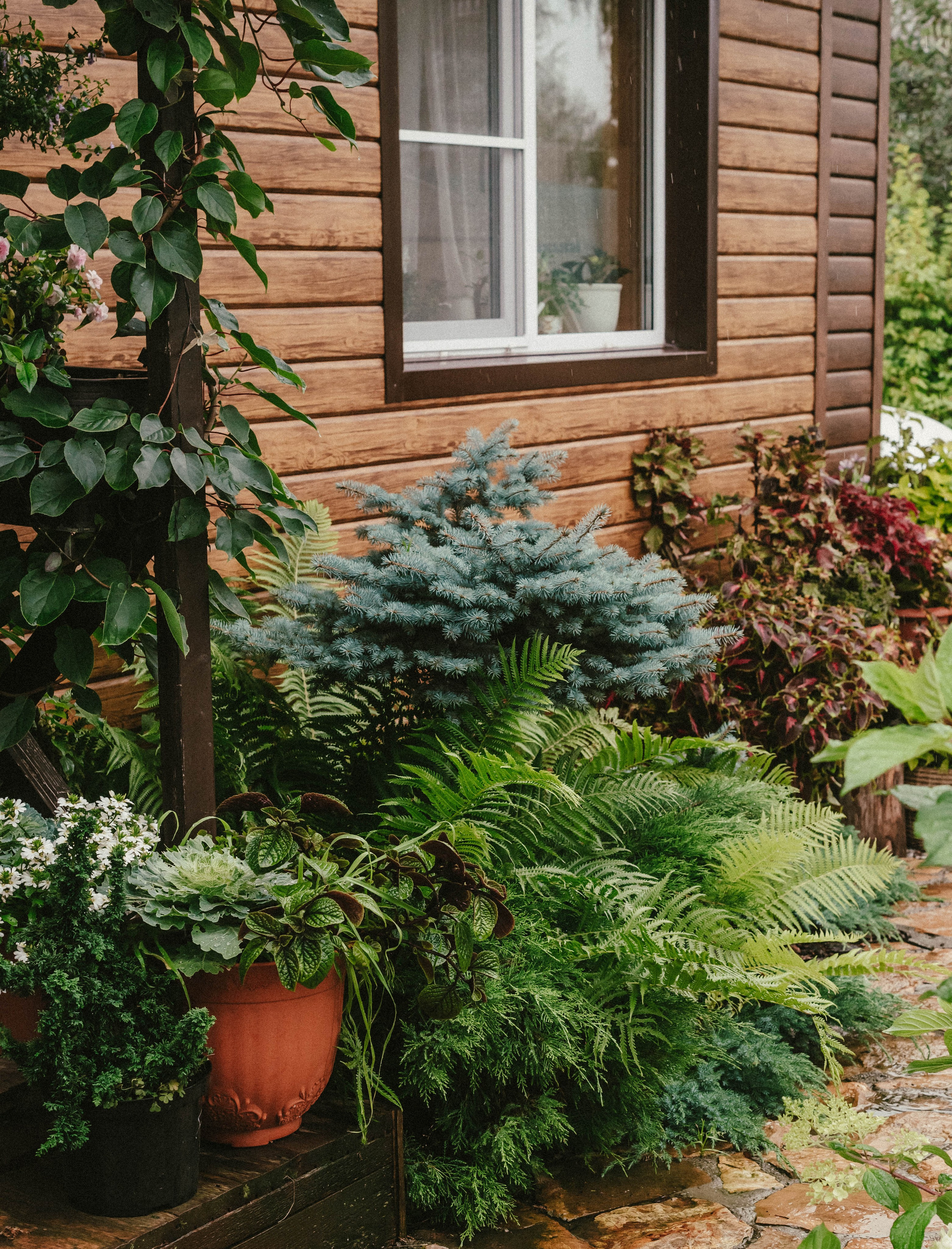 Лесное царство Оксаны. Свадебный и семейный фотограф в Новосибирске, Санкт-Петербурге, Москве