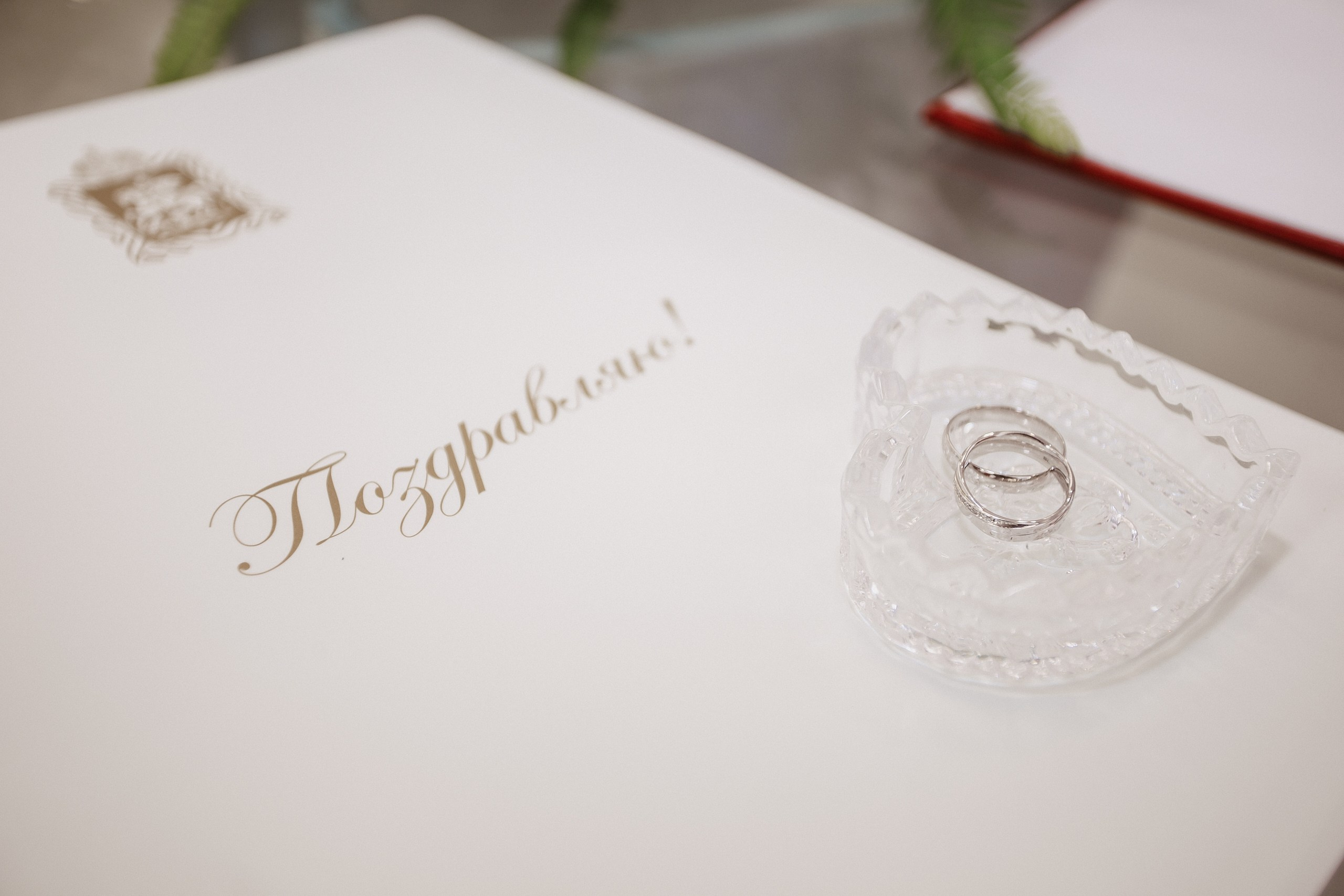 Константин и Галина. Портфолио