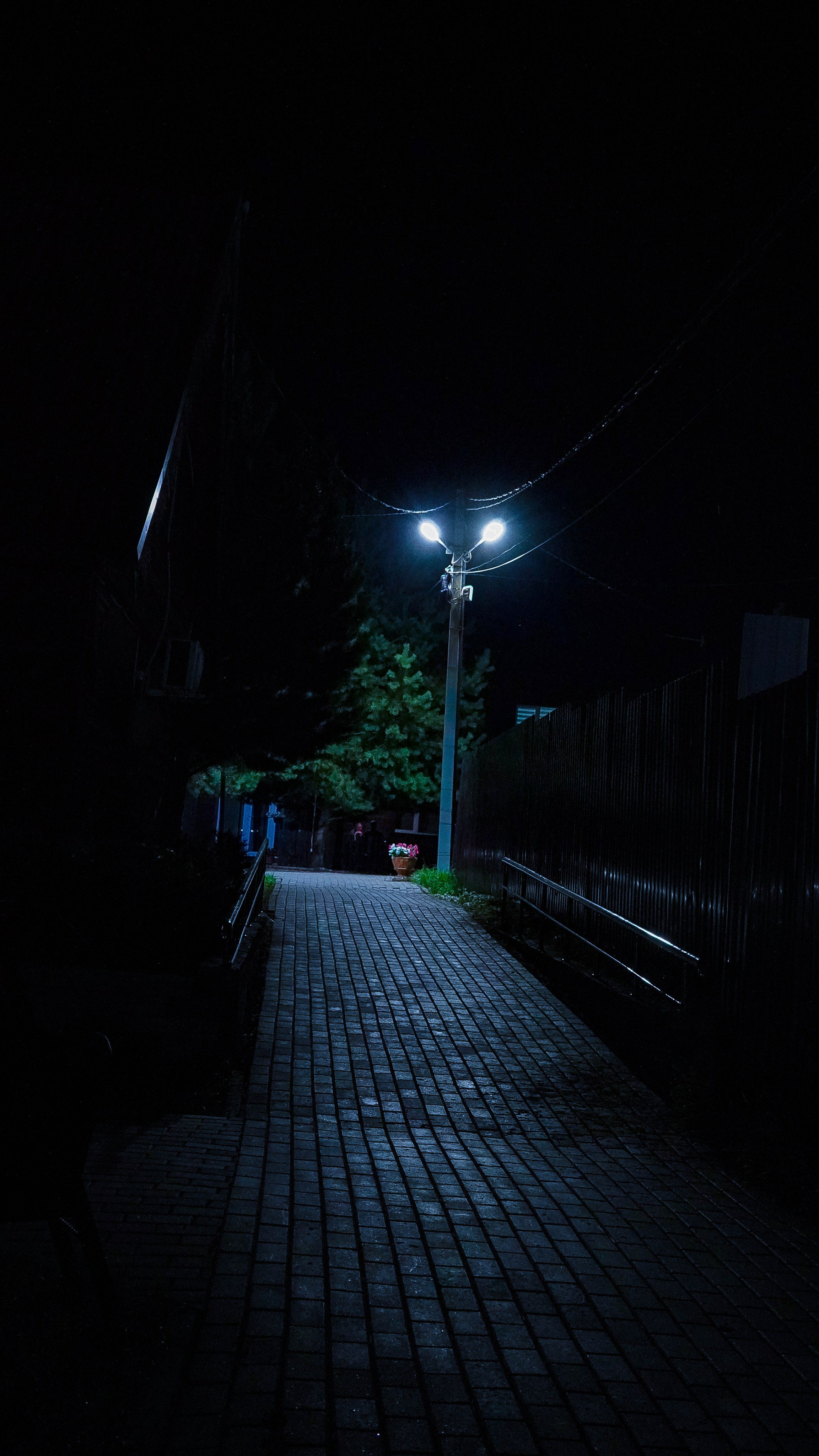 Архитектура и природа. Главная