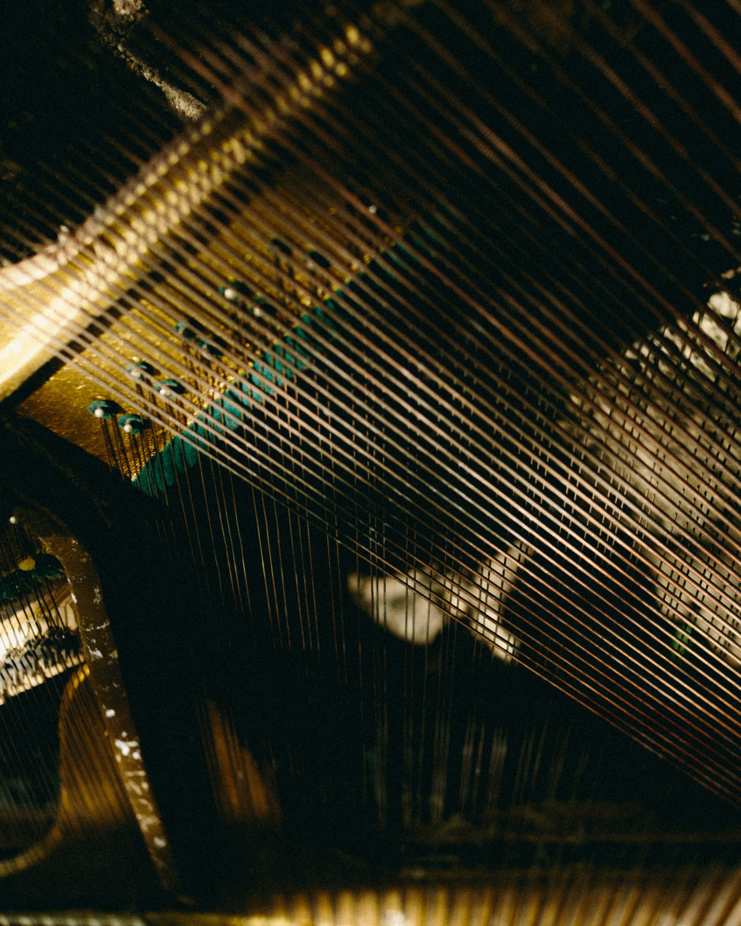 Открытие сезона созерцаний. Репортажный и портретный фотограф во Владимире Сергей Кравцов