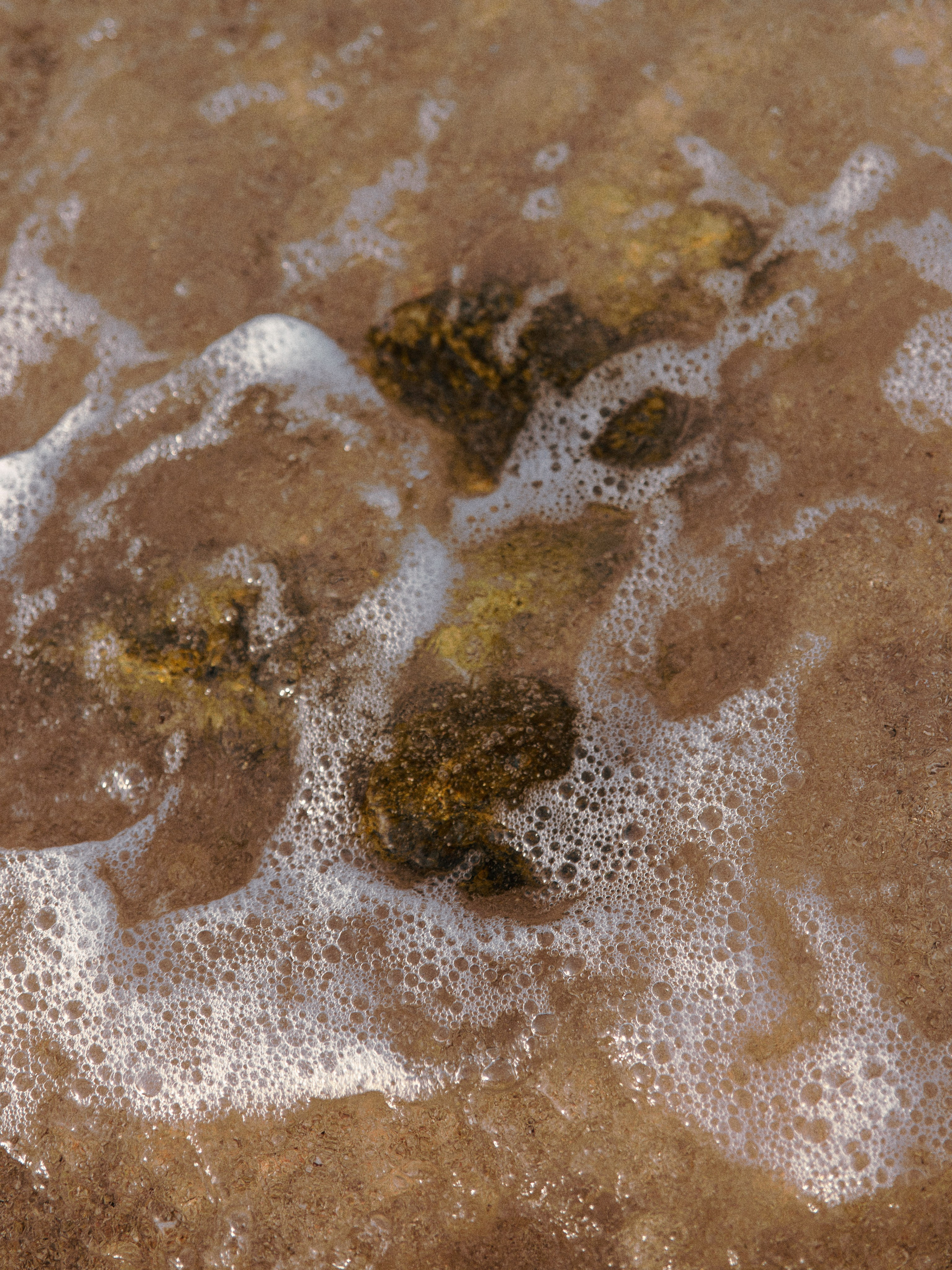 Природа. Jorgis Talè — photographer, kind person, teacher of arts and other mag