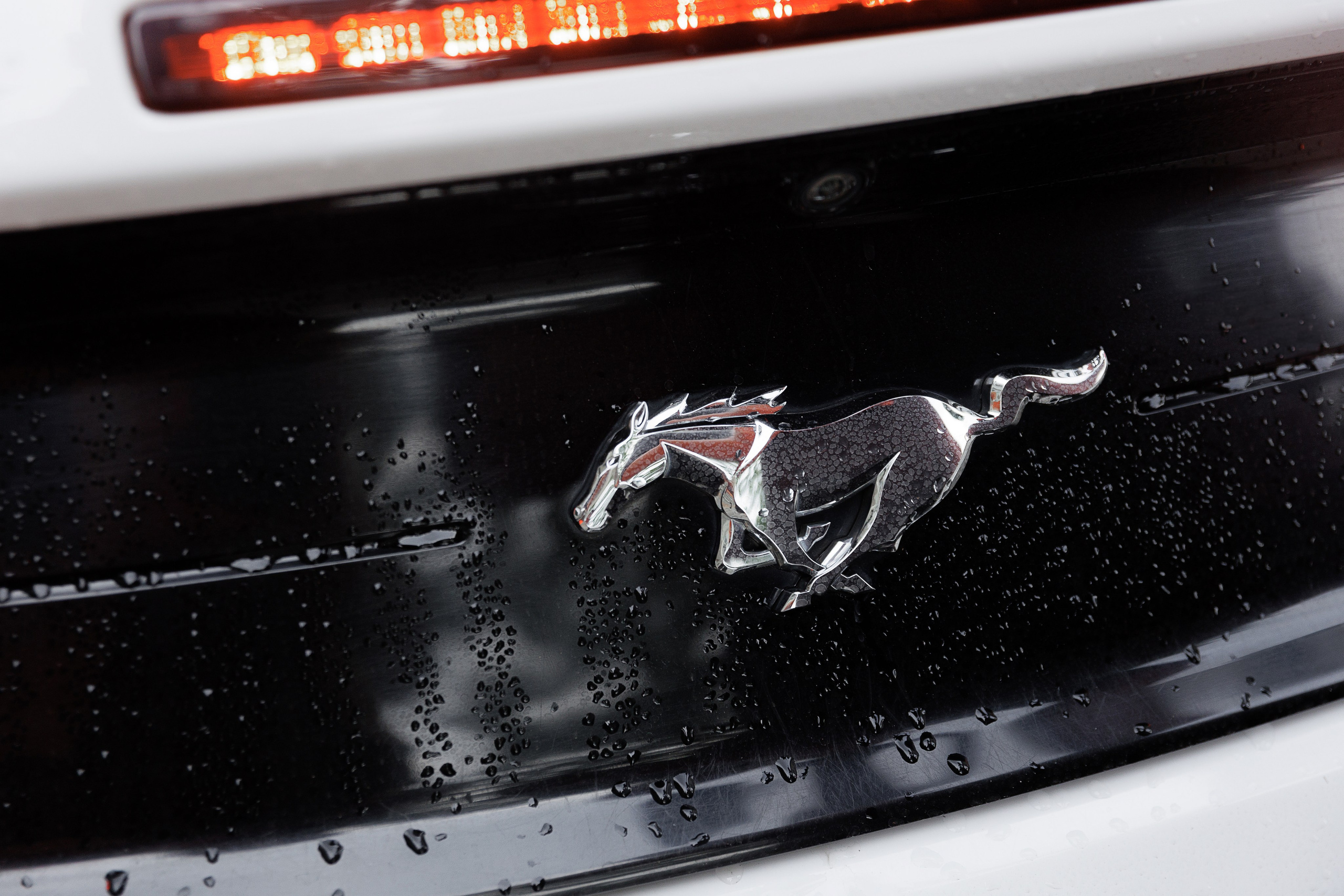 Алексей & Татьяна. Свадебный и репортажный фотограф Калининград