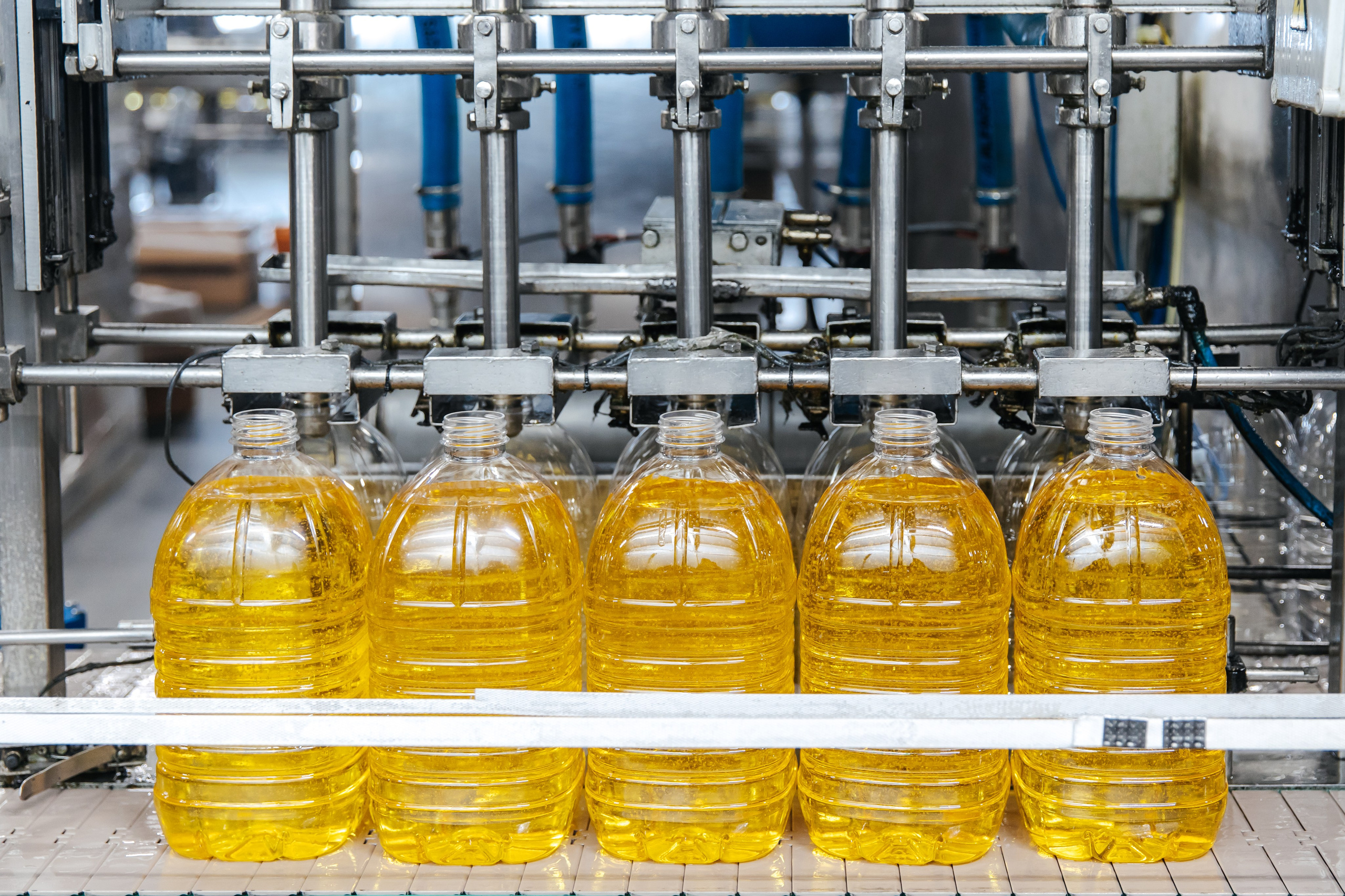 Диво Алтая. Производитель подсолнечного масла. Лихошерстов Андрей — фотограф для бизнеса из Сибири