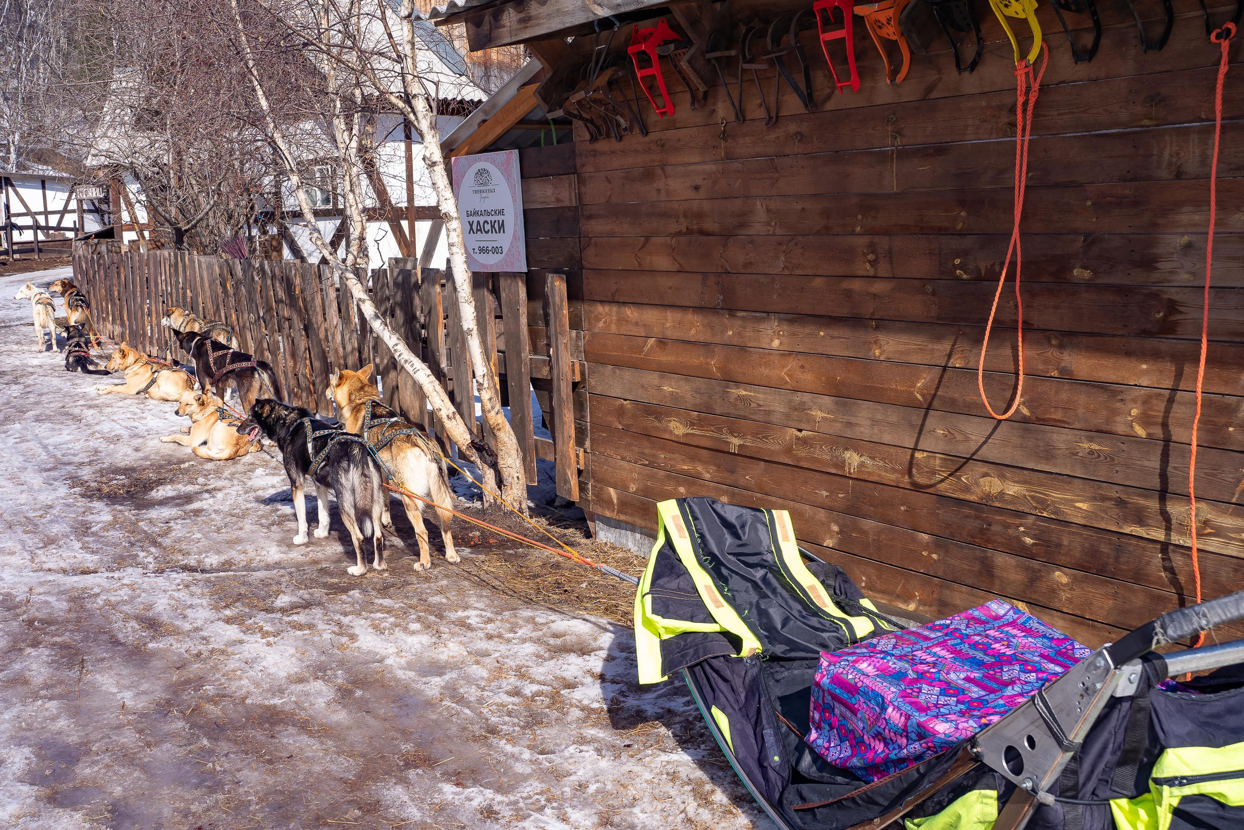 Зимний Байкал. Свадебное фото видео в Иркутске, выпускной, юбилей. Морозов Анатолий