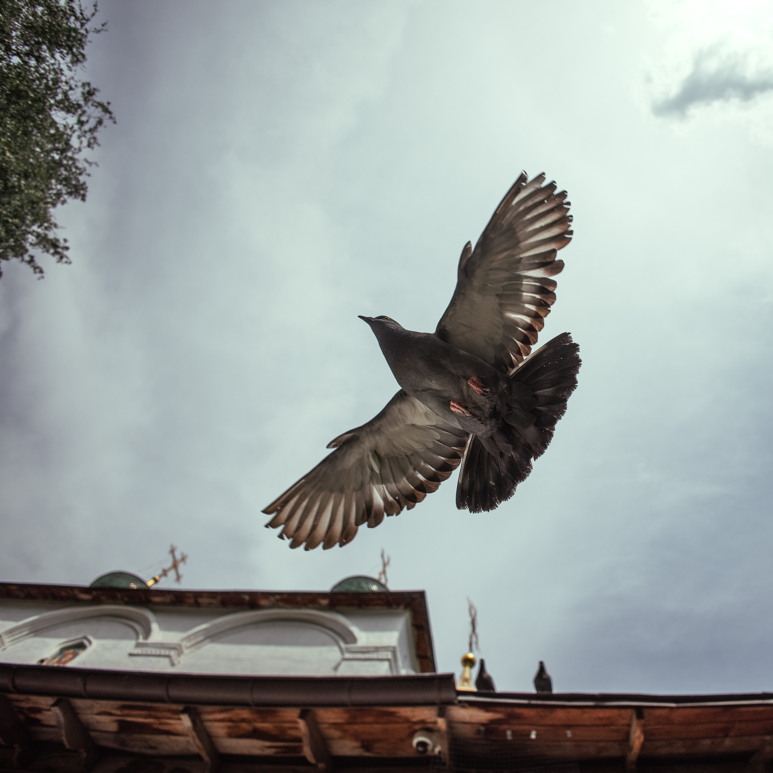 Фотограф — Евгений Свистков