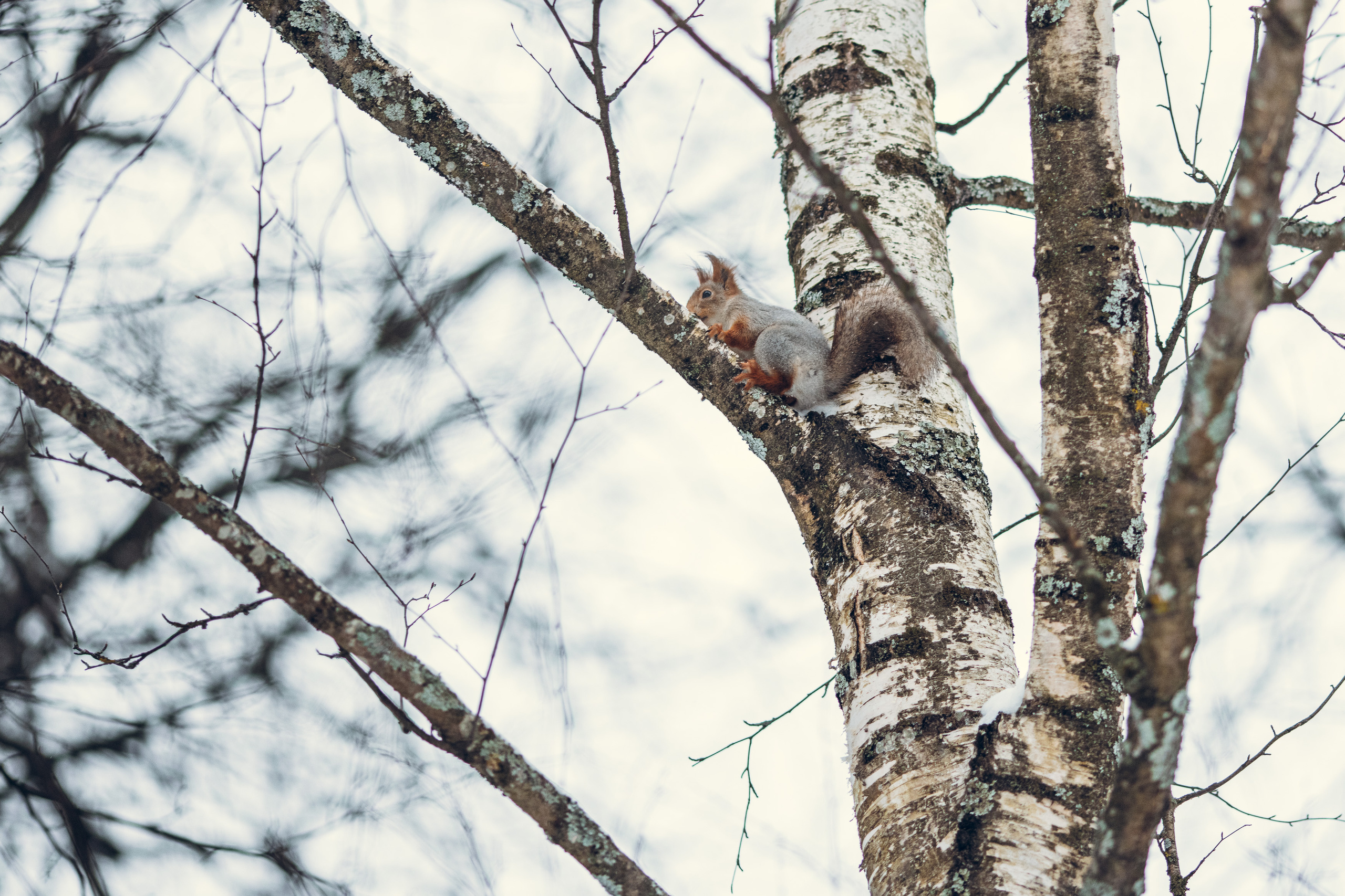 Фотограф — Евгений Свистков