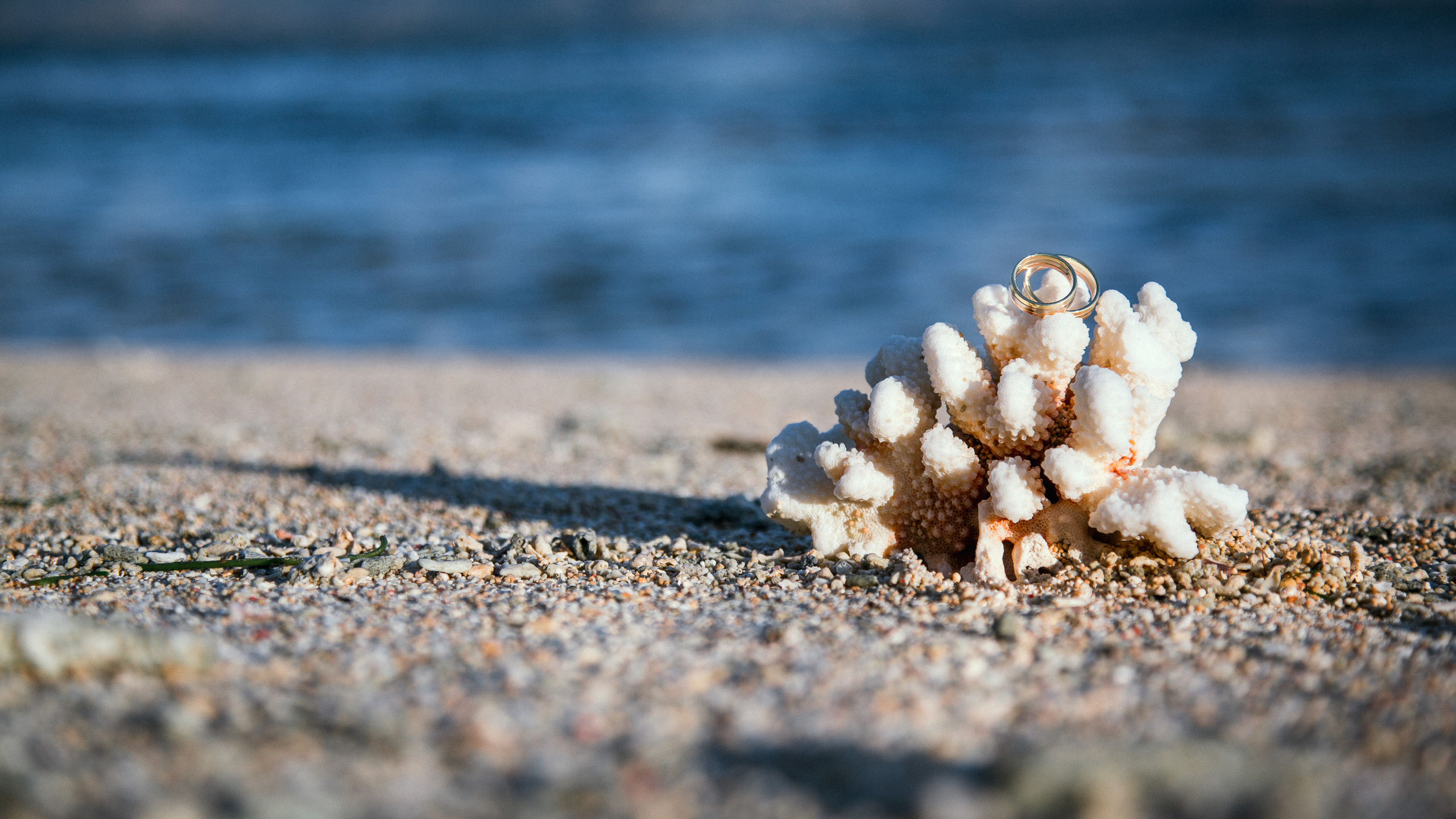 Фотограф — Евгений Свистков