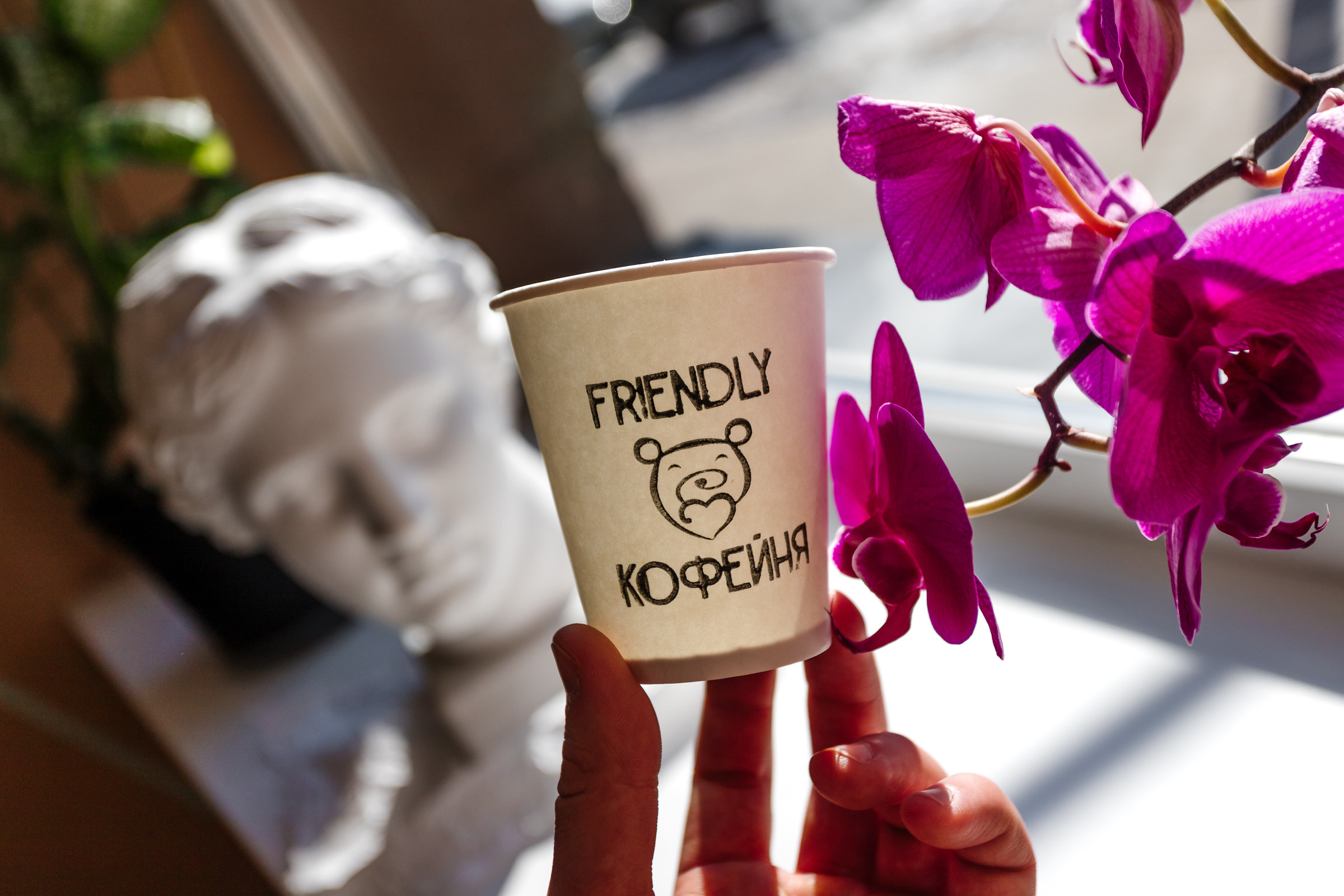 Friendly Cafe. Семейный фотограф — Макс Белогрудов