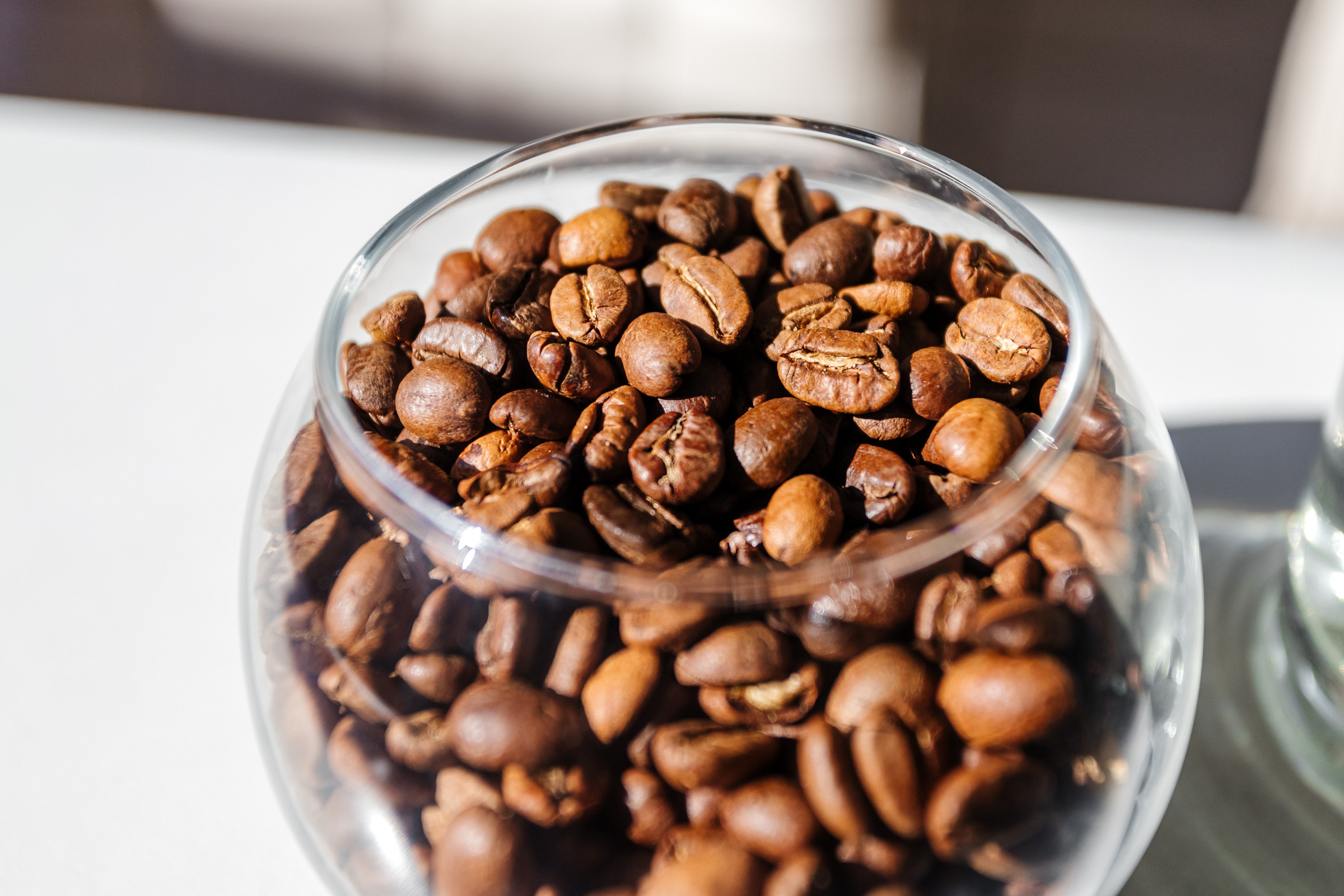 Friendly Cafe. Семейный фотограф — Макс Белогрудов