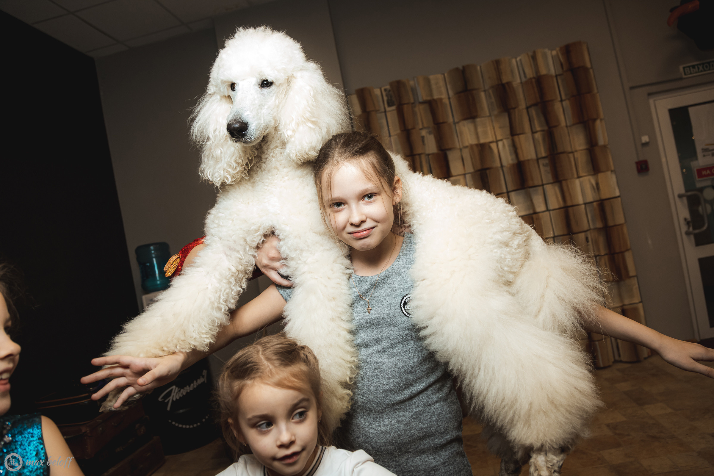 День рождения Василисы. Семейный фотограф — Макс Белогрудов
