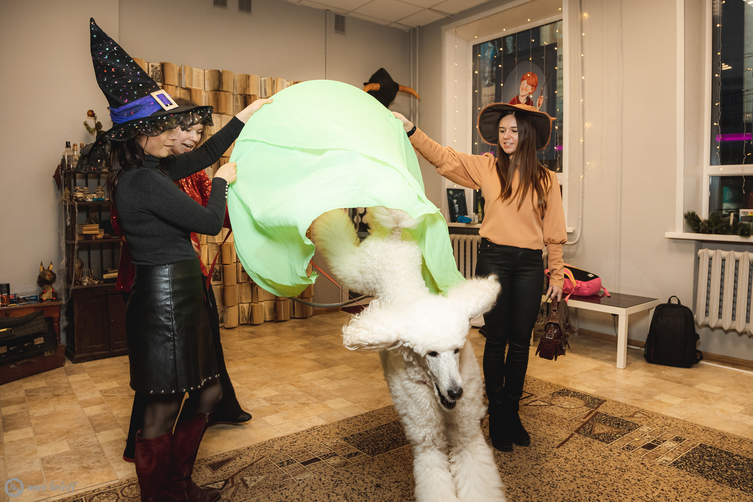 День рождения Василисы. Семейный фотограф — Макс Белогрудов