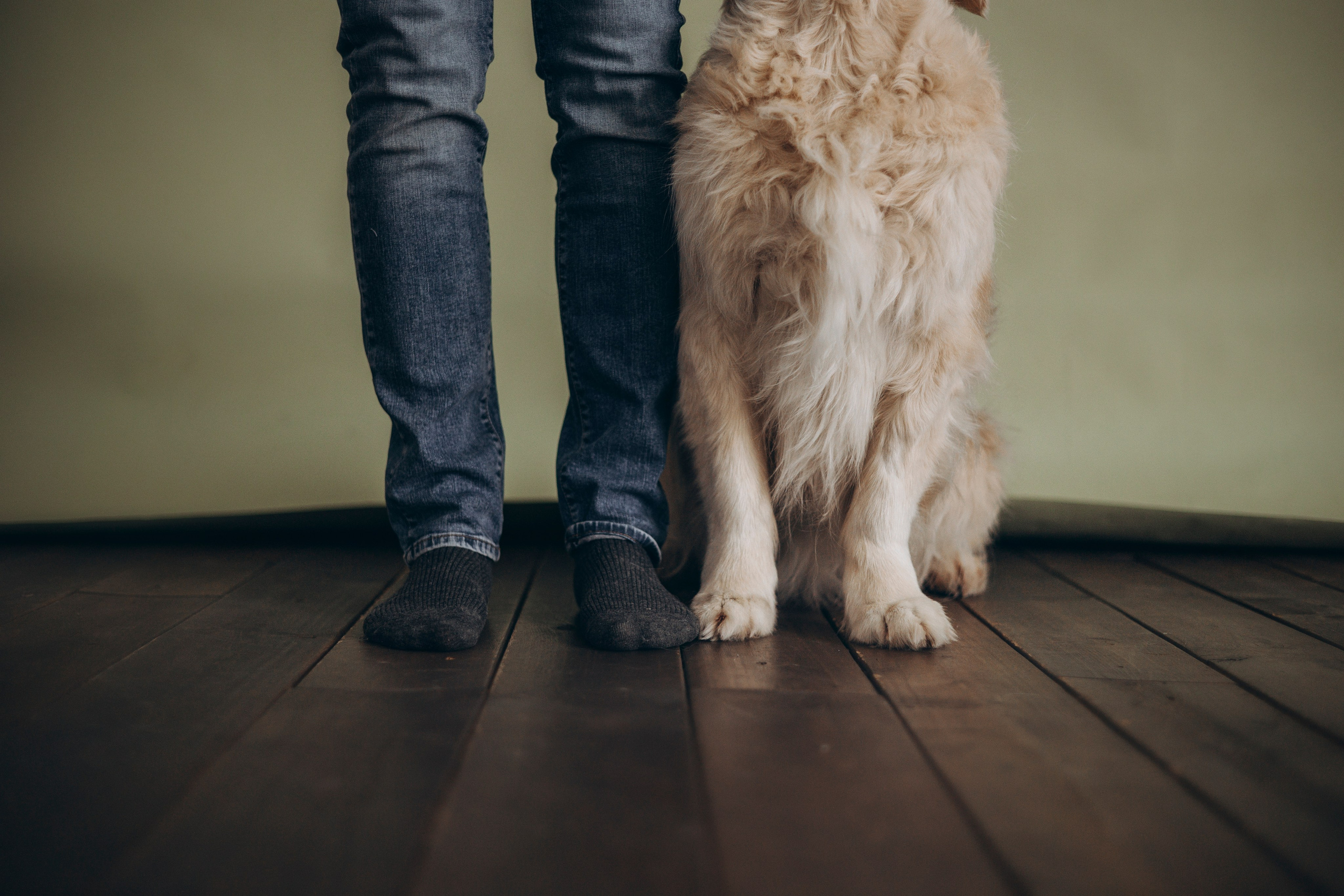 Ирина и Луна. Фотограф — Анималист | Санкт-Петербург