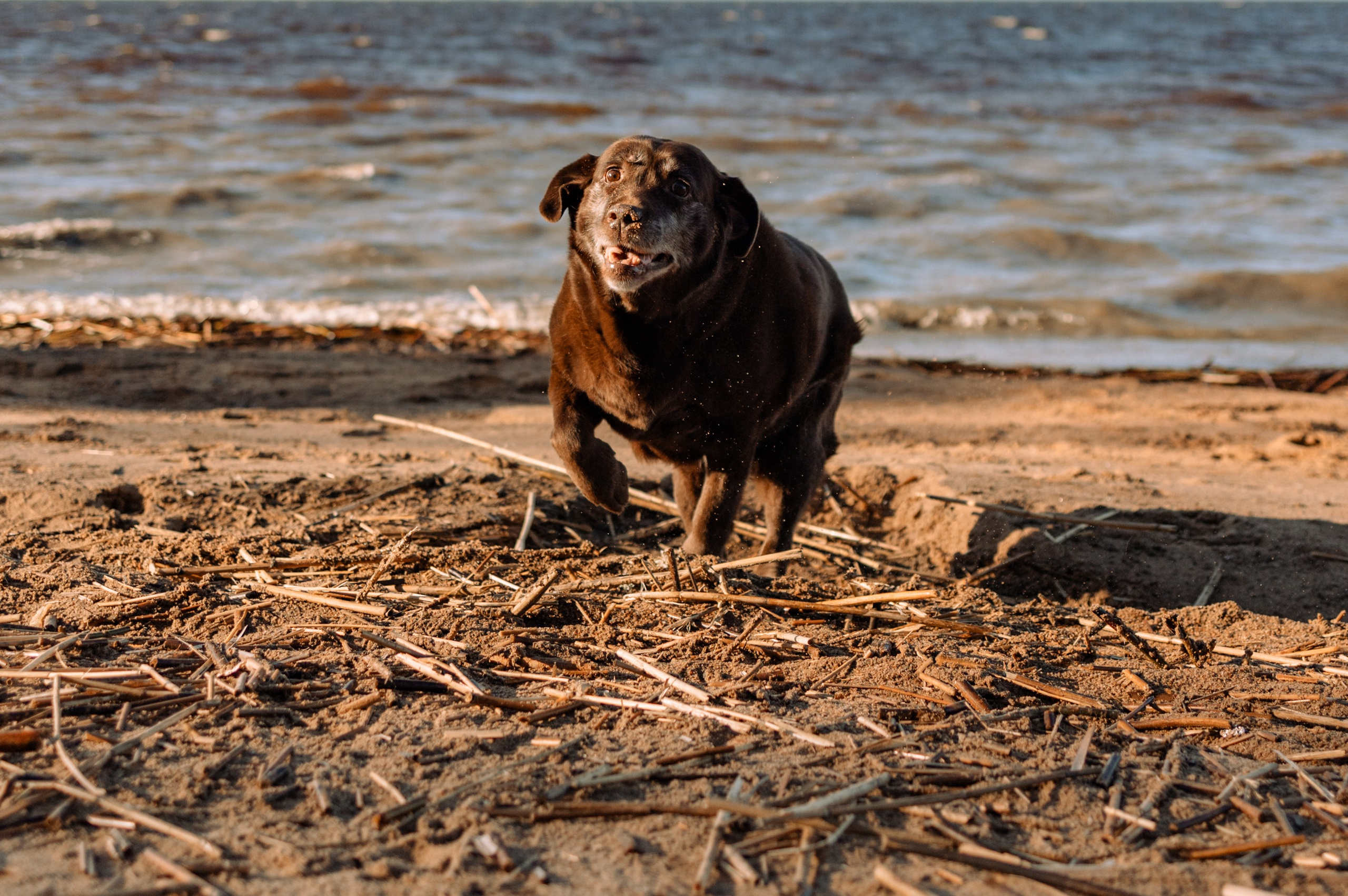 Оля и Питоня. Фотограф — Анималист | Санкт-Петербург