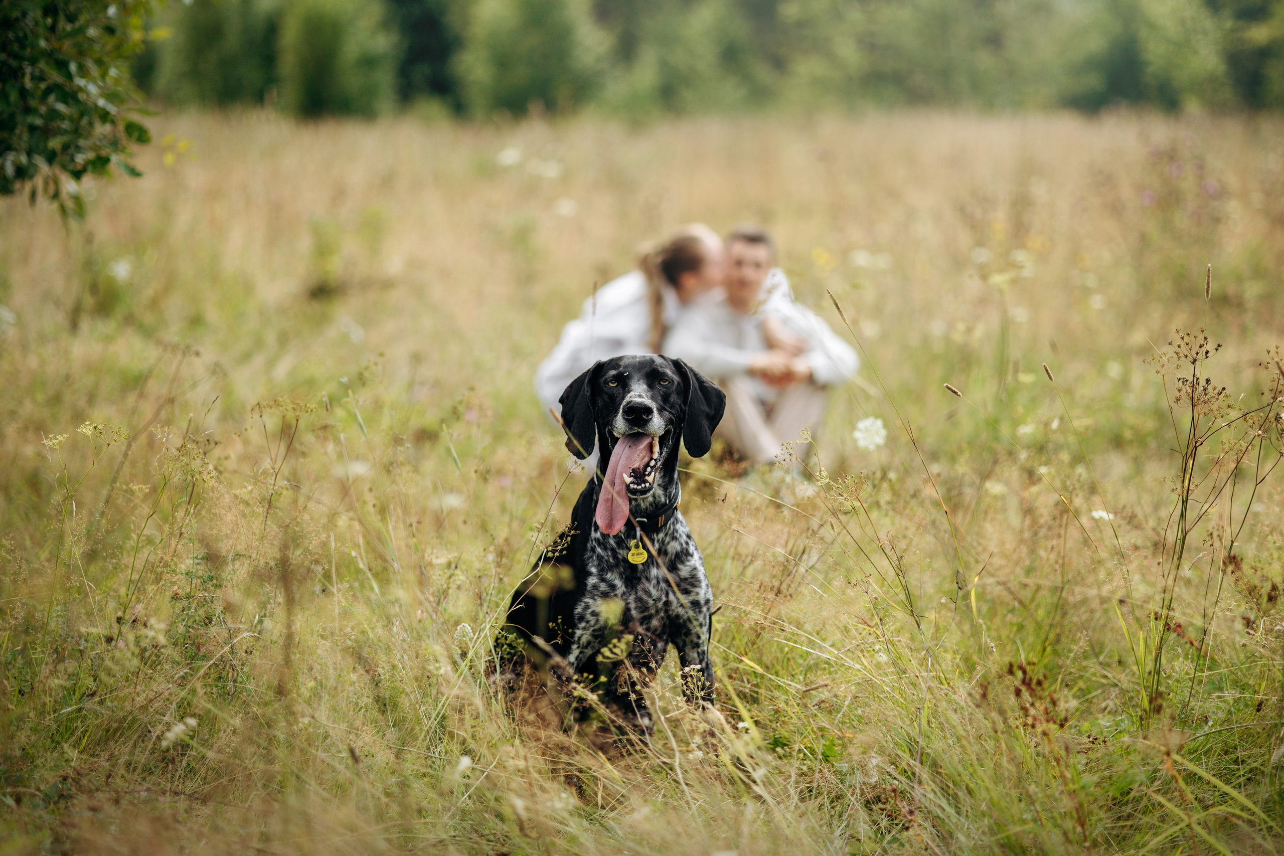 Хеликс и его семья. Фотограф — Анималист | Санкт-Петербург