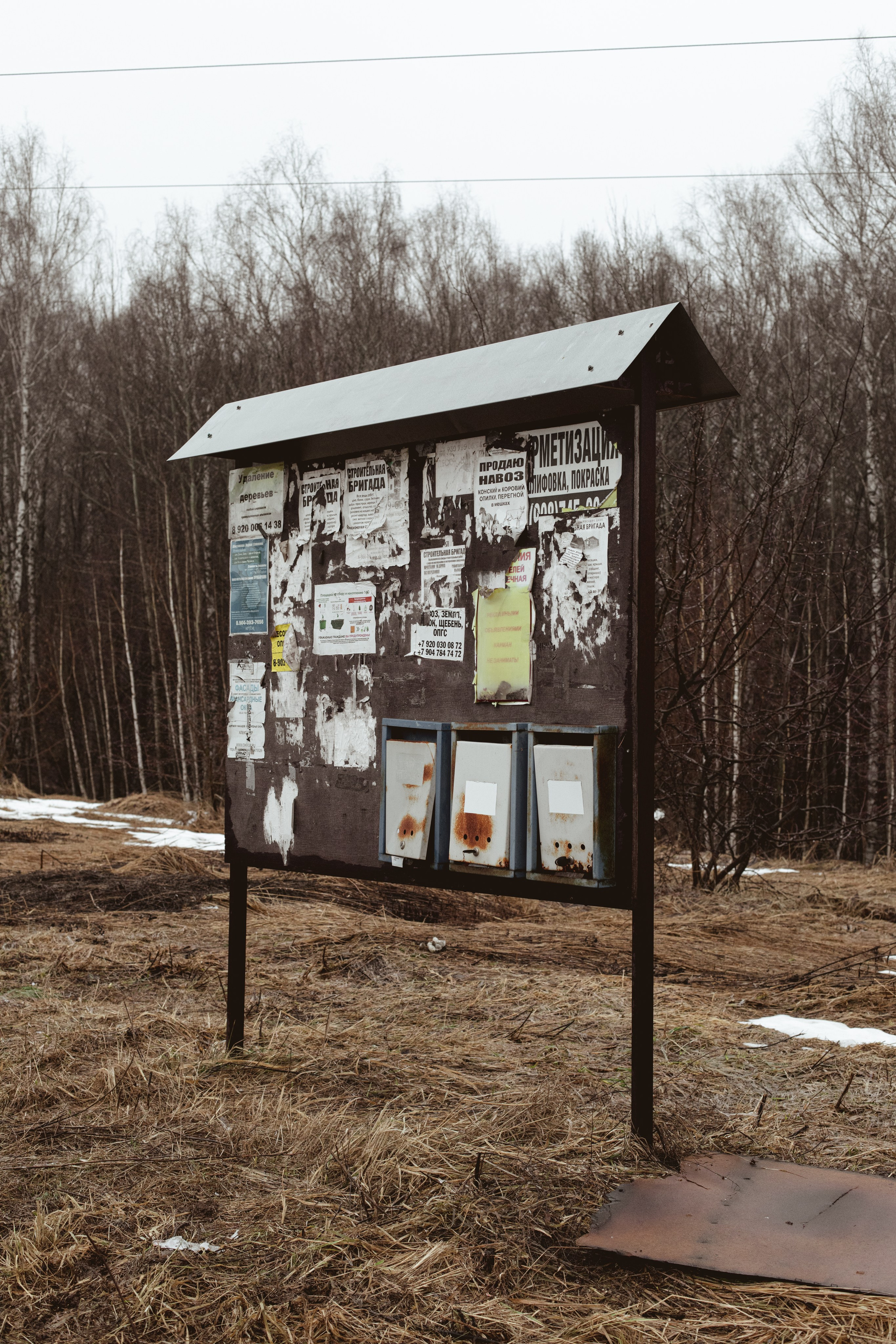 Природа просыпается от зимней спячки, апрель 2026. Фотограф Эльмира Лин