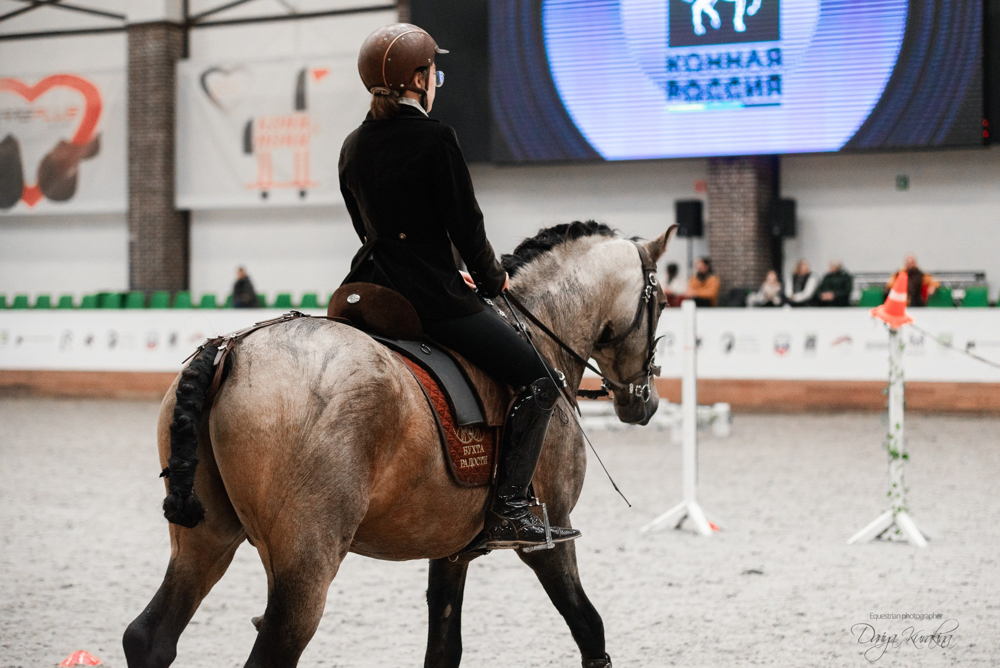 8-я международная выставка Конная Россия. Конный фотограф Куракина Дарья • Фотосессии с лошадьми