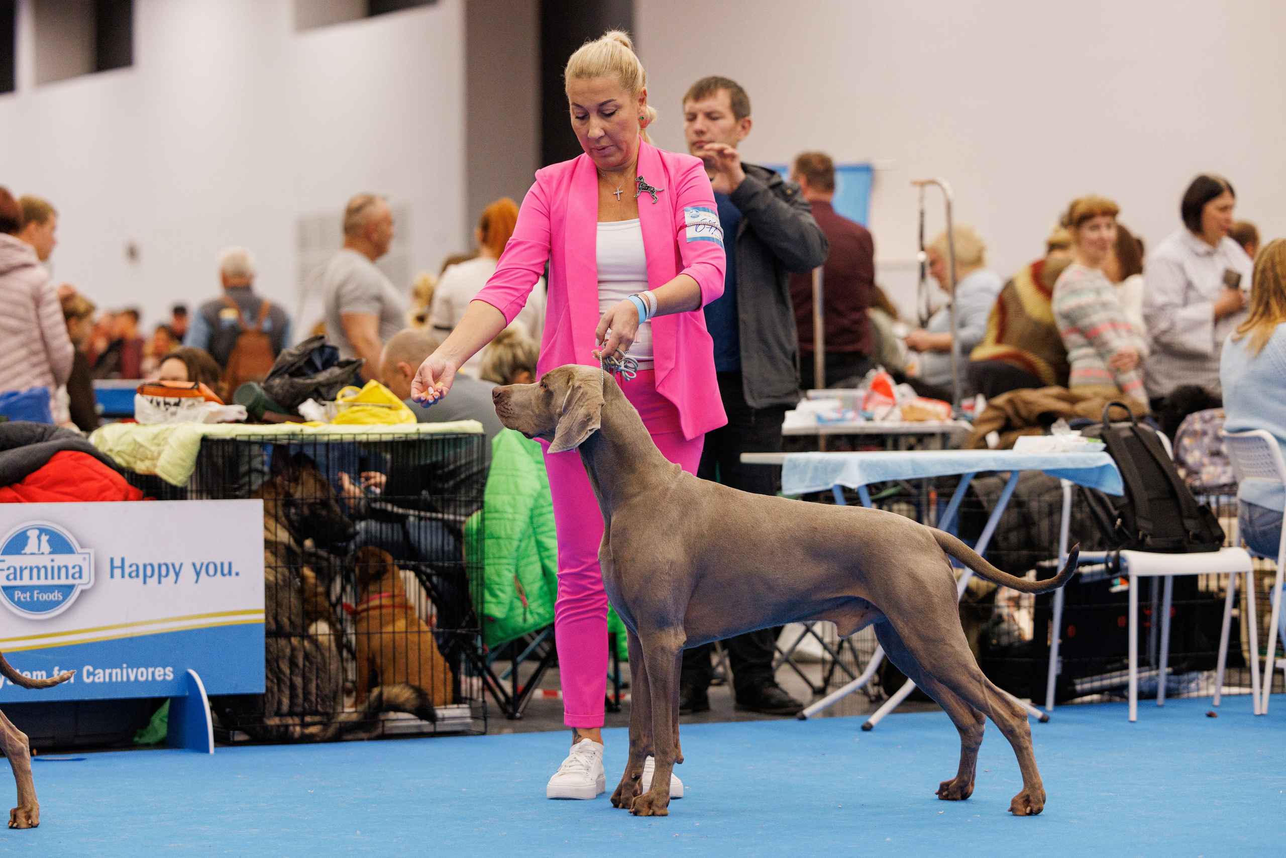 Нижний Новгород 21-22.10.2023. Фотограф-анималист Юлия Германика