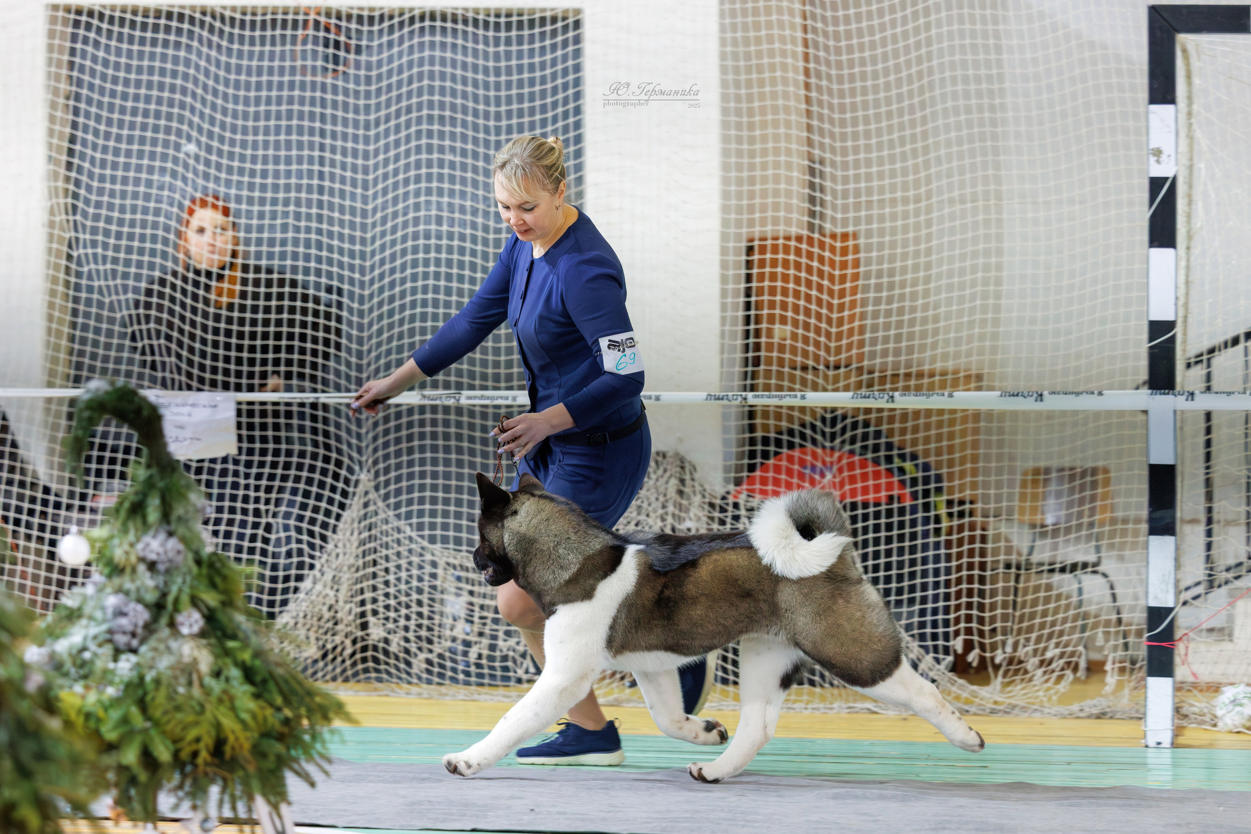 Тверь 21.12.2025. Фотограф-анималист Юлия Германика