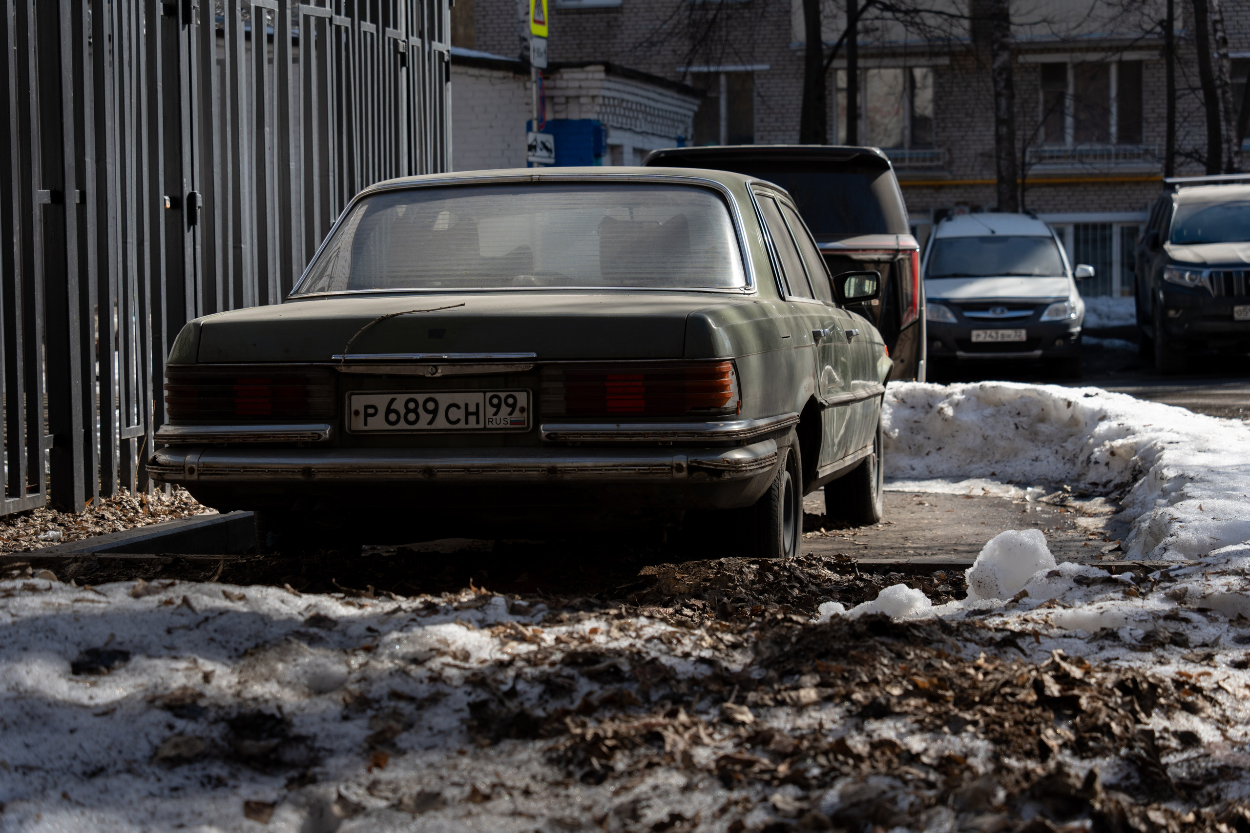 20260322 Киевская — Парк Победы. Дмитрий Ремизов. Фотография, как хобби