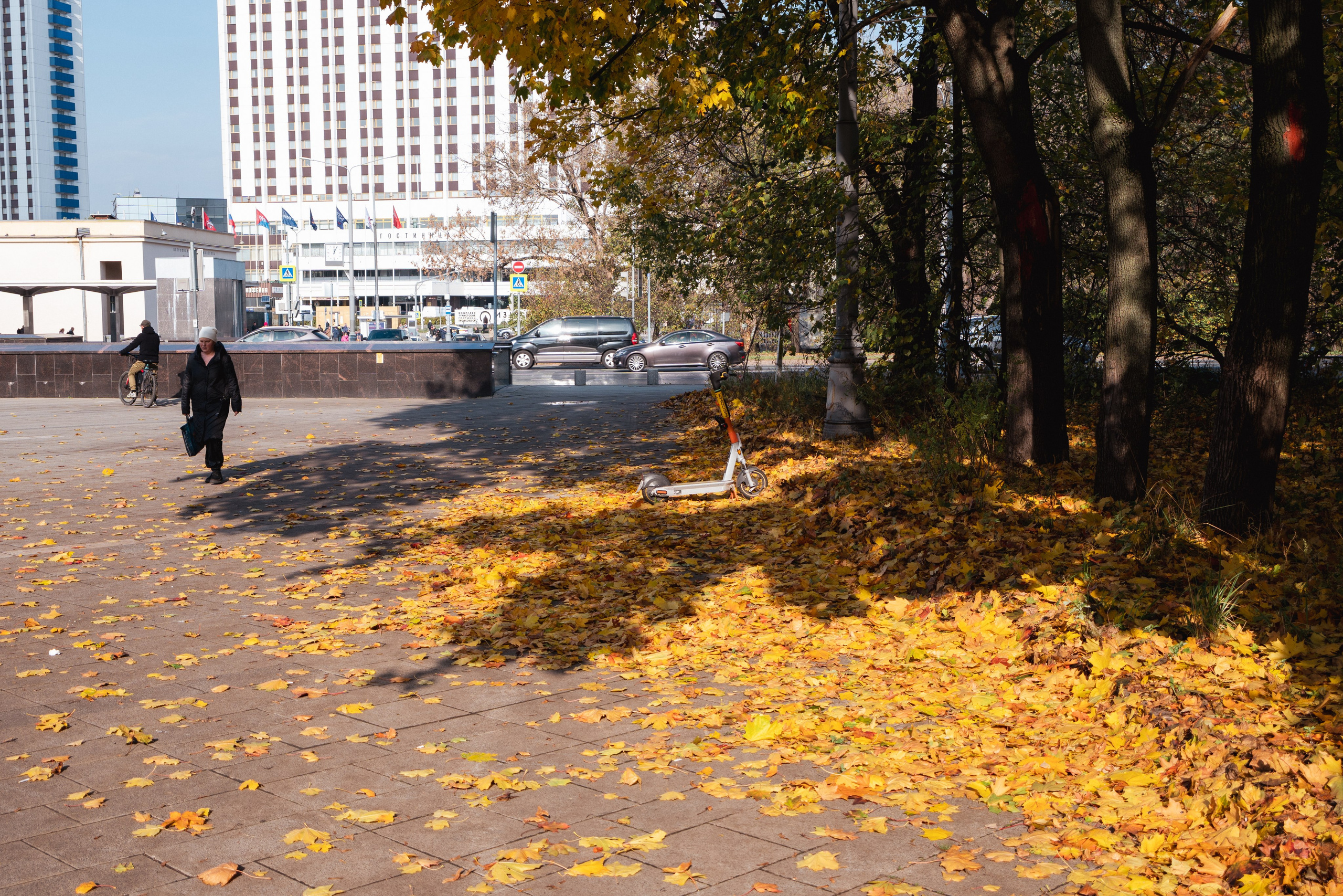 20241012 Измайлово. Дмитрий Ремизов. Фотография, как хобби