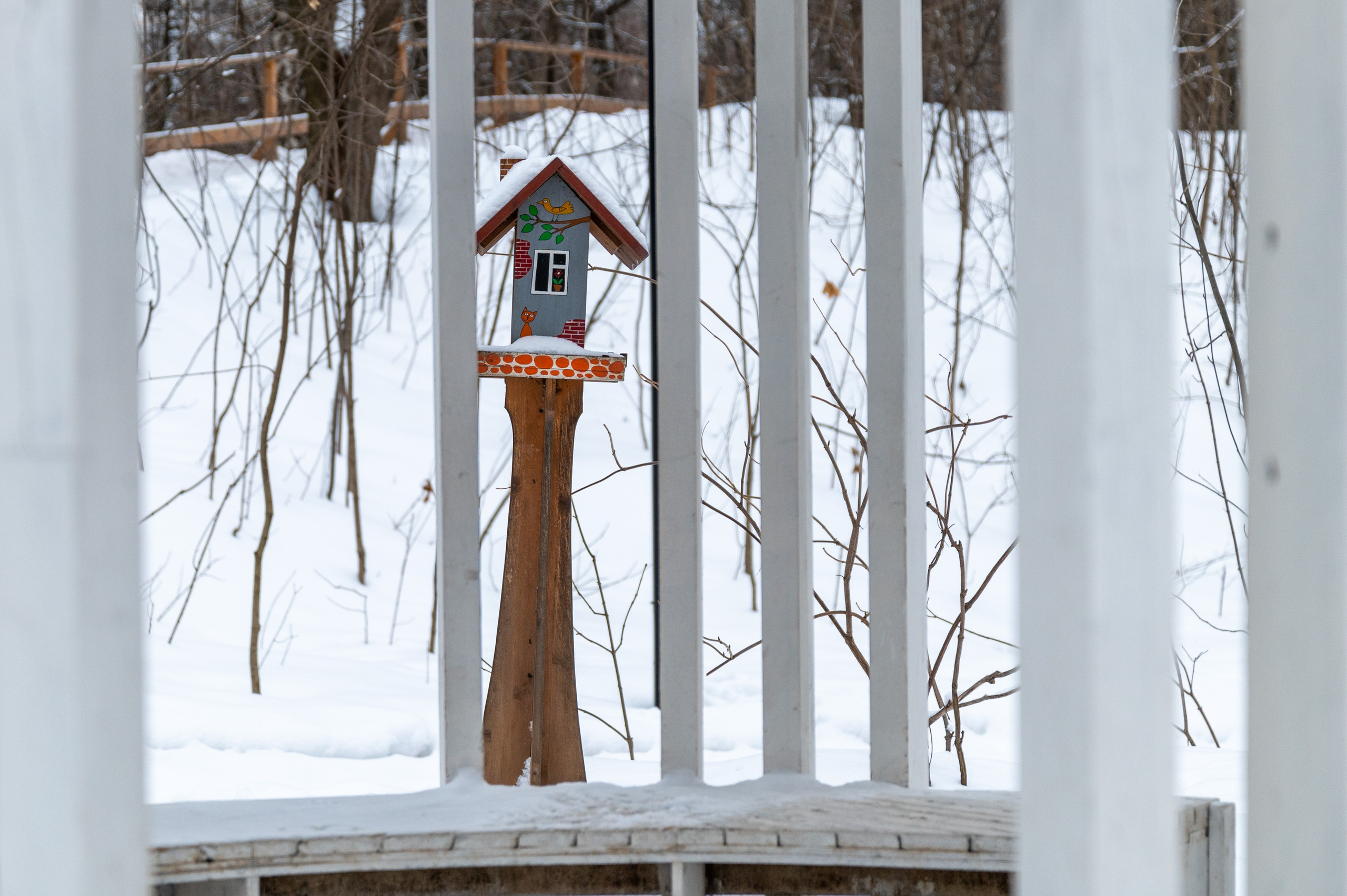20230305 Воробьёвы и Лужники. Дмитрий Ремизов. Фотография, как хобби