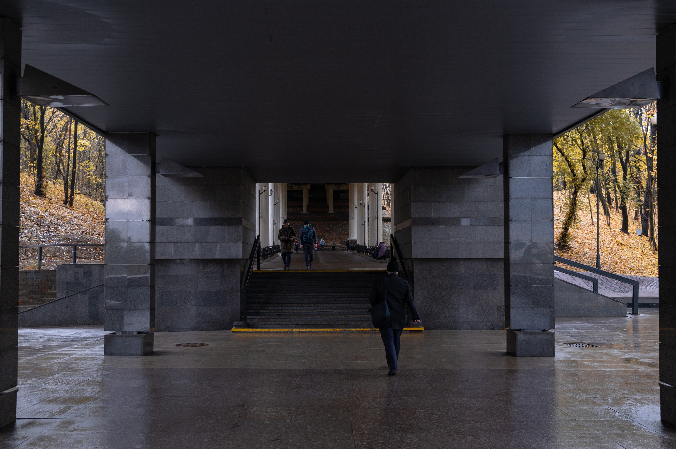 20231031 Нескучный сад. Дмитрий Ремизов. Фотография, как хобби