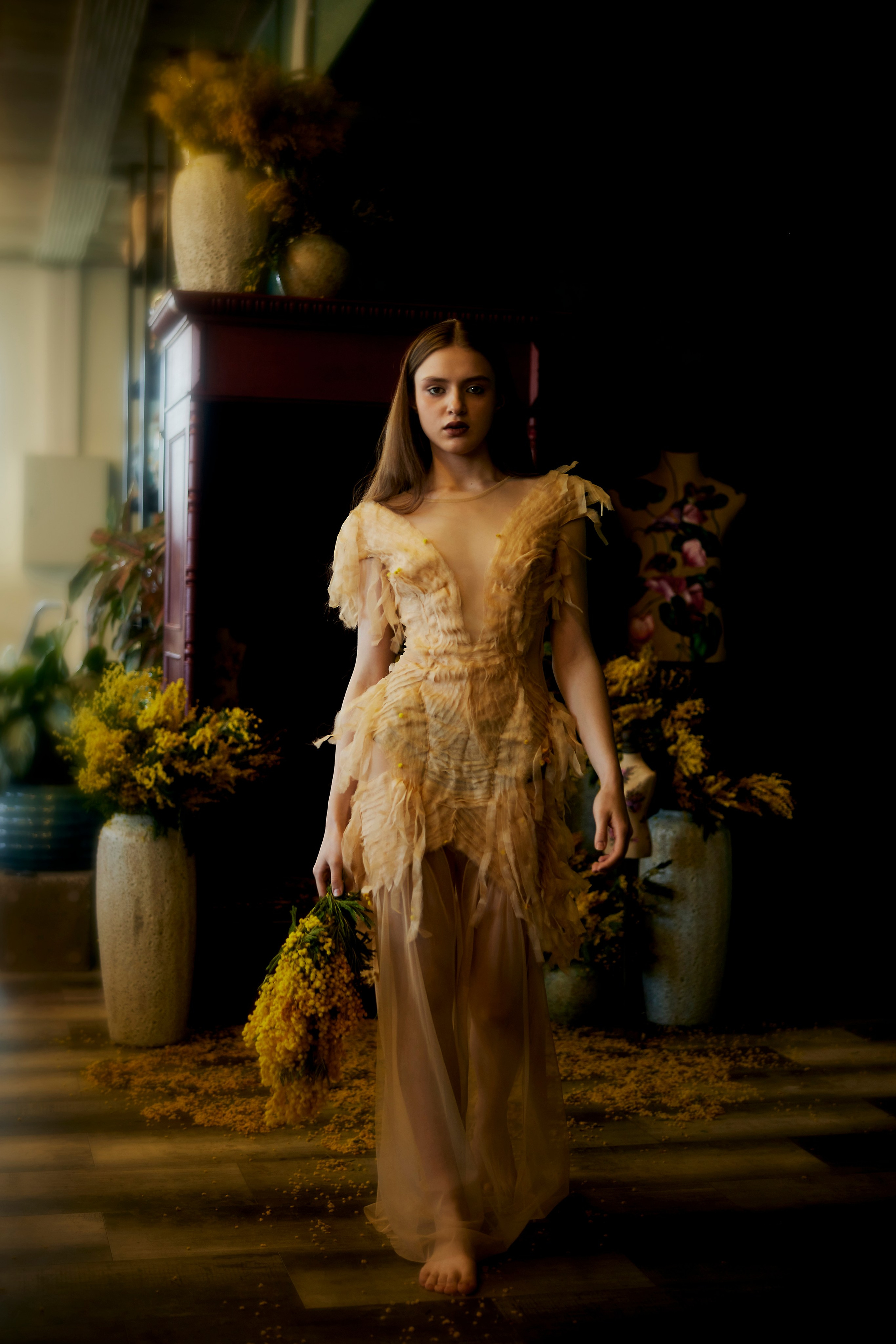 Мимоза. Сергей Ирклиенко