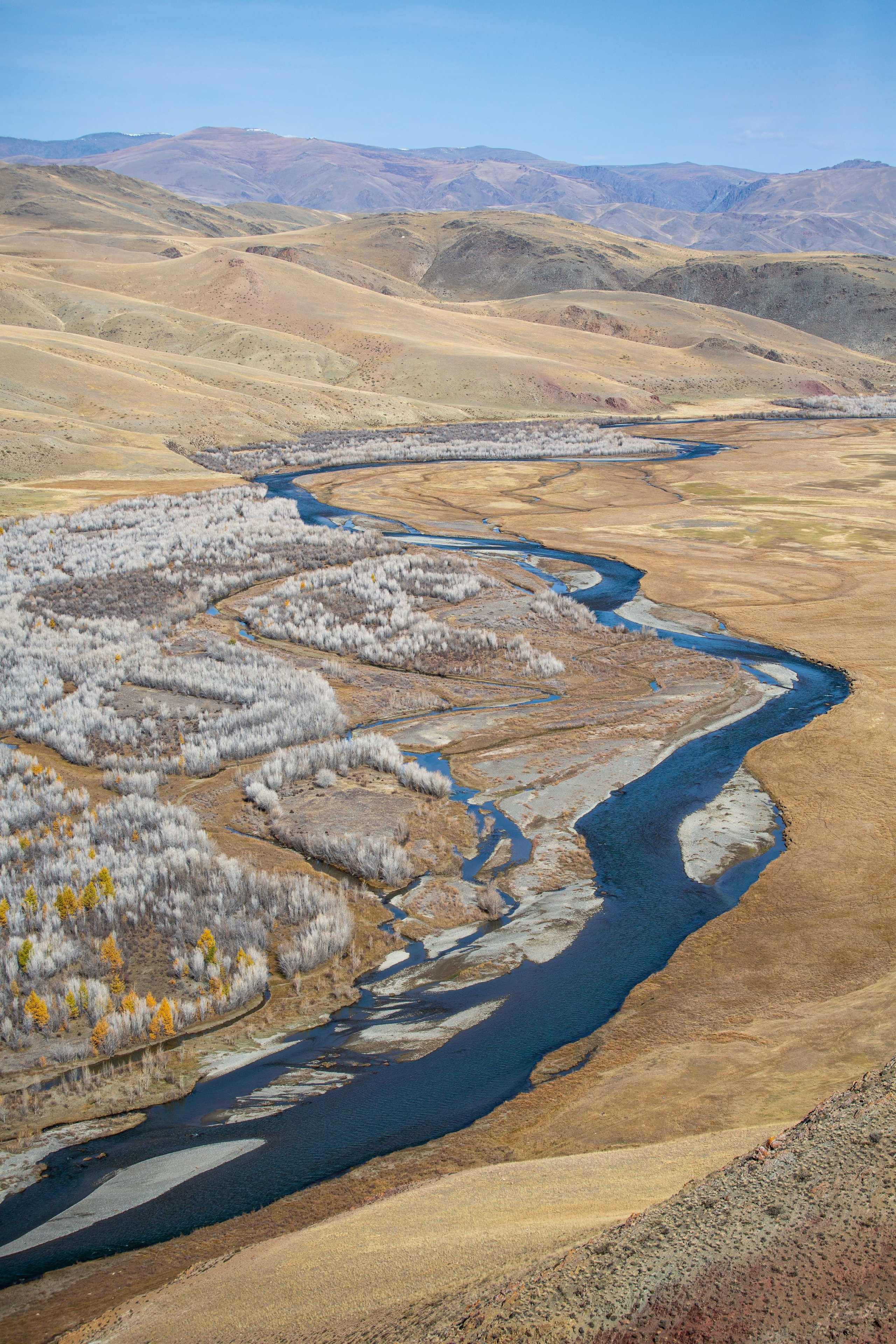Россия. Алтай. Добродеева Алла фотограф, Москва