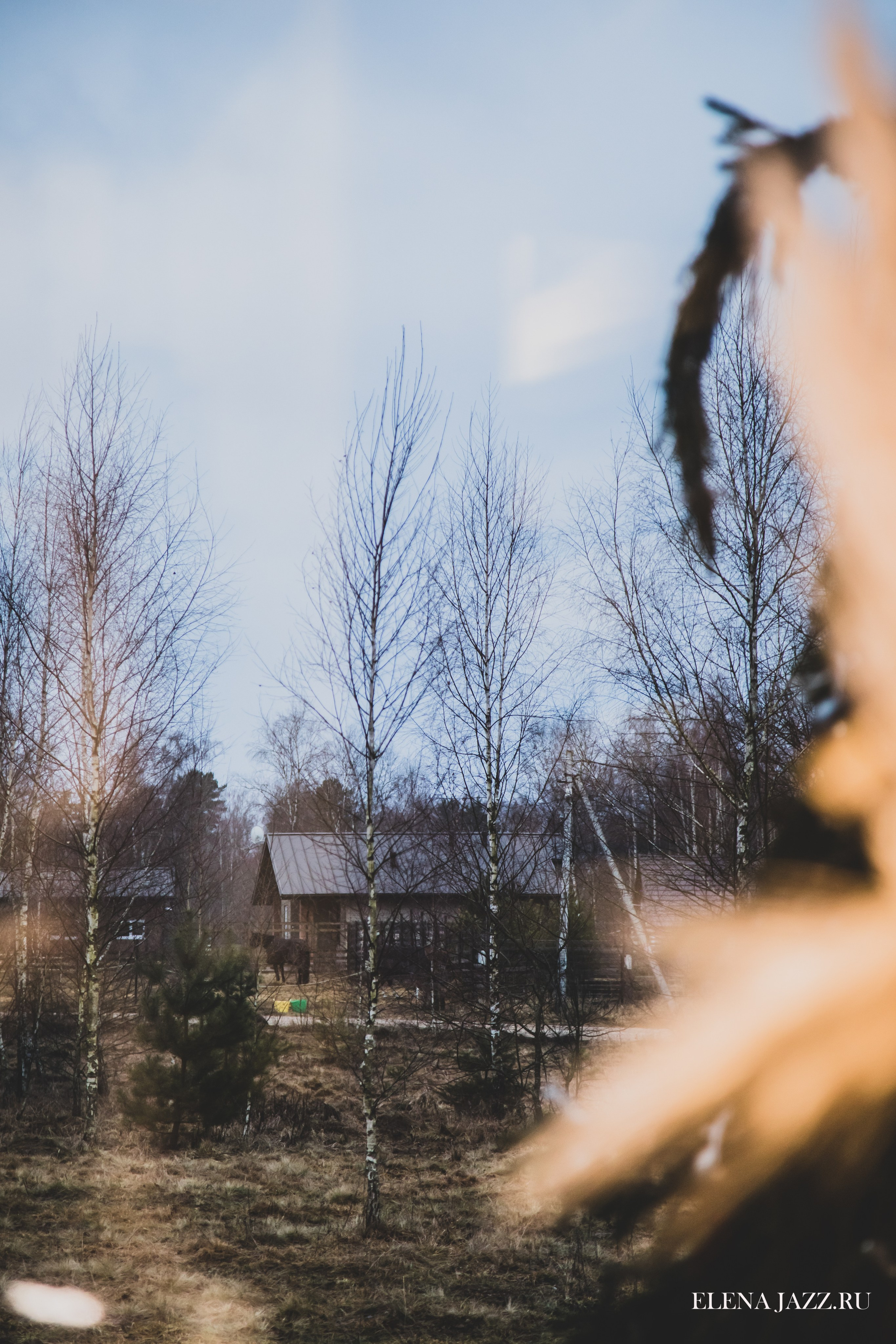 ИНТЕРЬЕР. Репортажный фотограф Елена Джаз в Москва