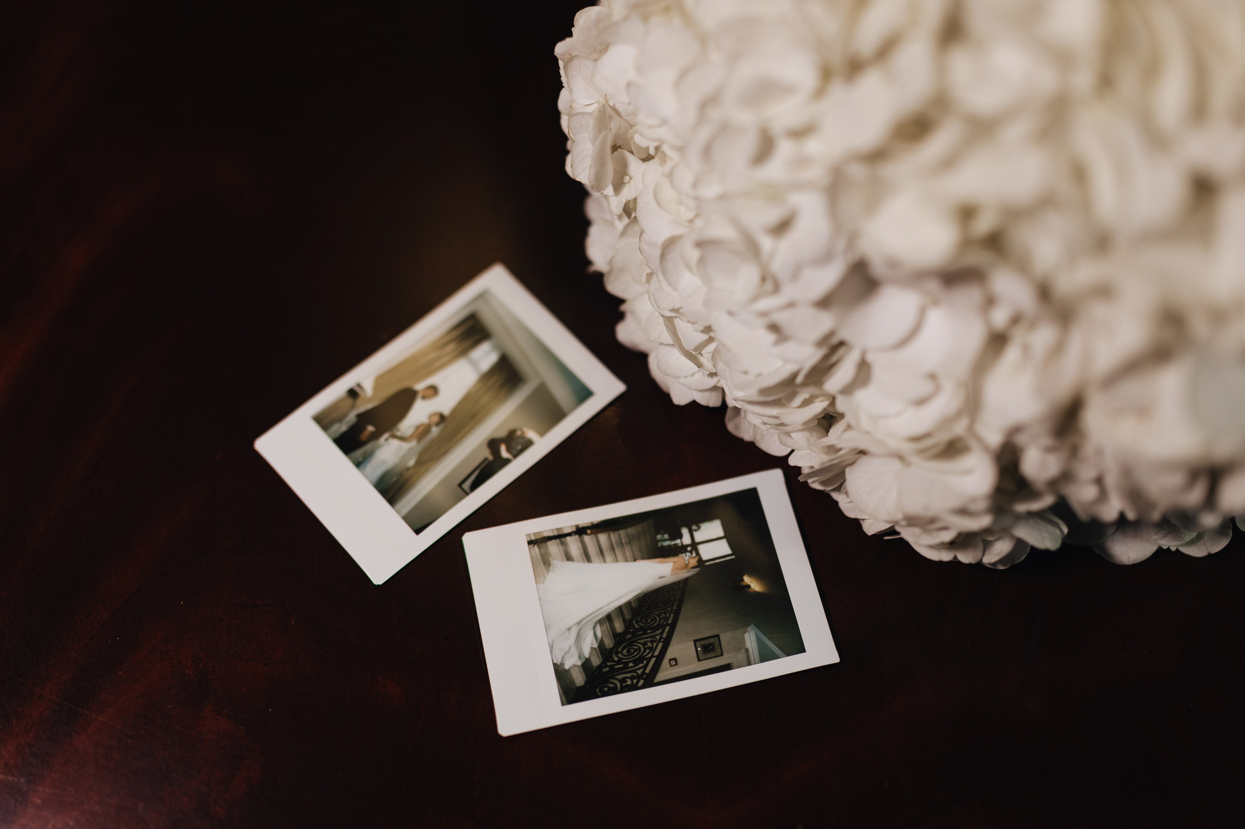 София и Данил. Семейный и свадебный фотограф в Донецке Елена Гордеева