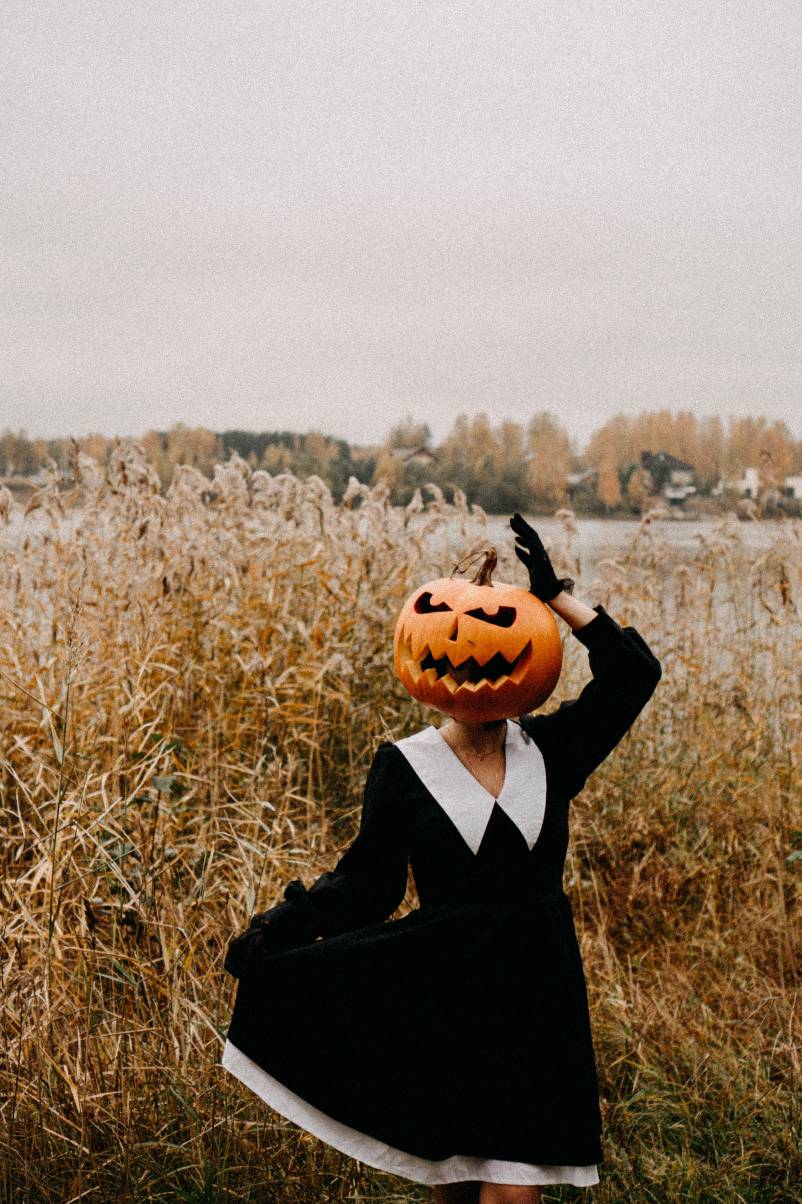 Осеняя. Профессиональный фотограф, Санкт-Петербург — Виктория Богомолова