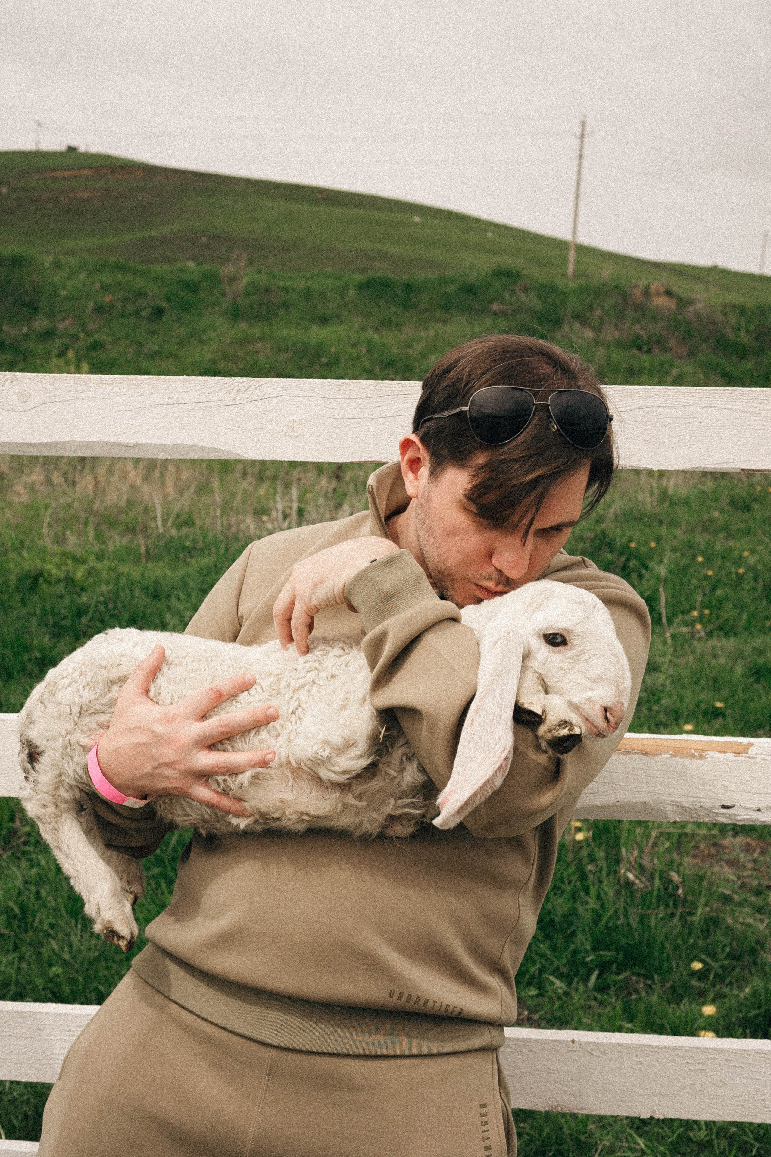 Ферма Альпак. Профессиональный фотограф, Санкт-Петербург — Виктория Богомолова
