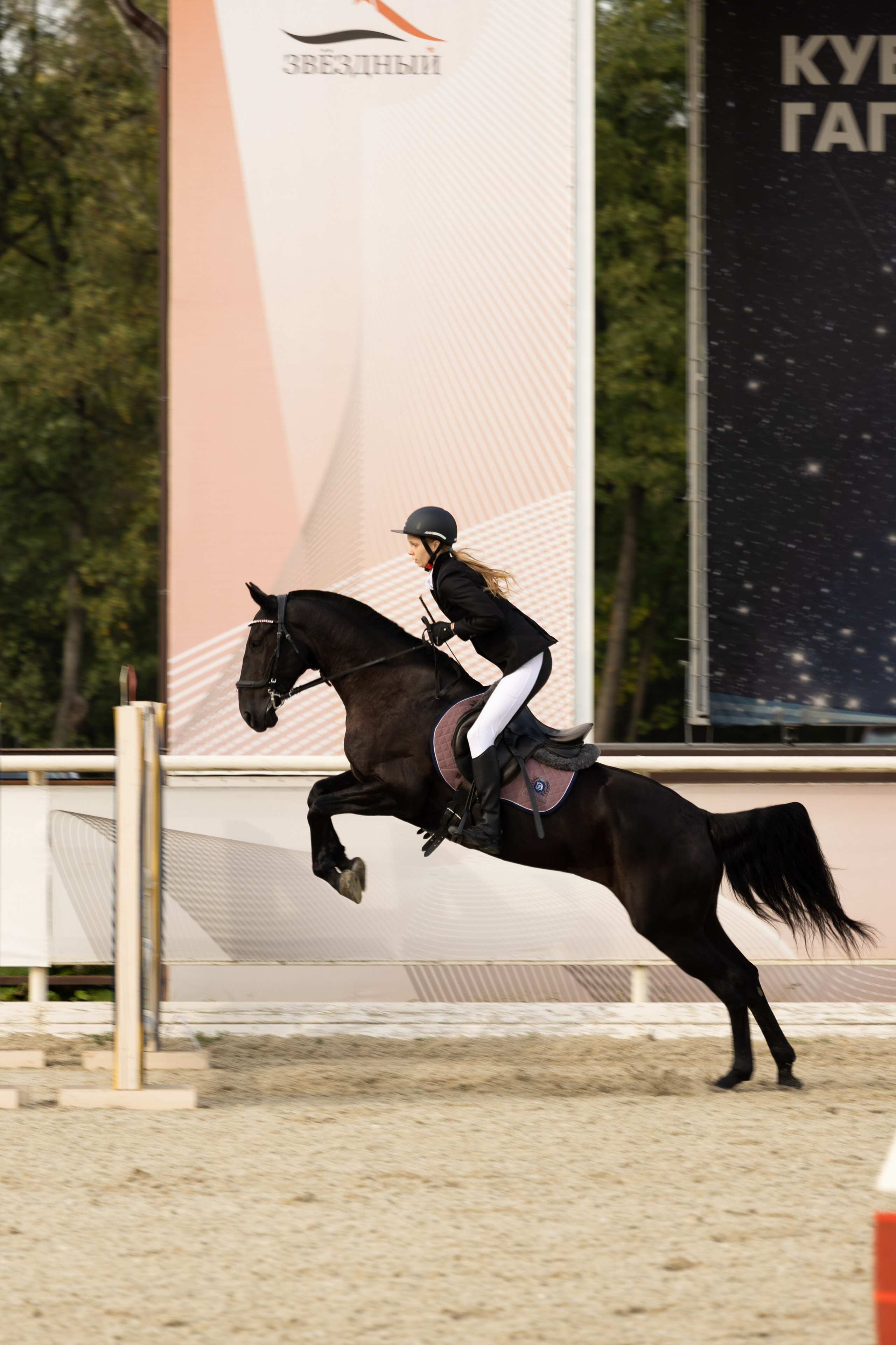 Соревнования по конкуру. Фотограф в Москве Светлана Богначева