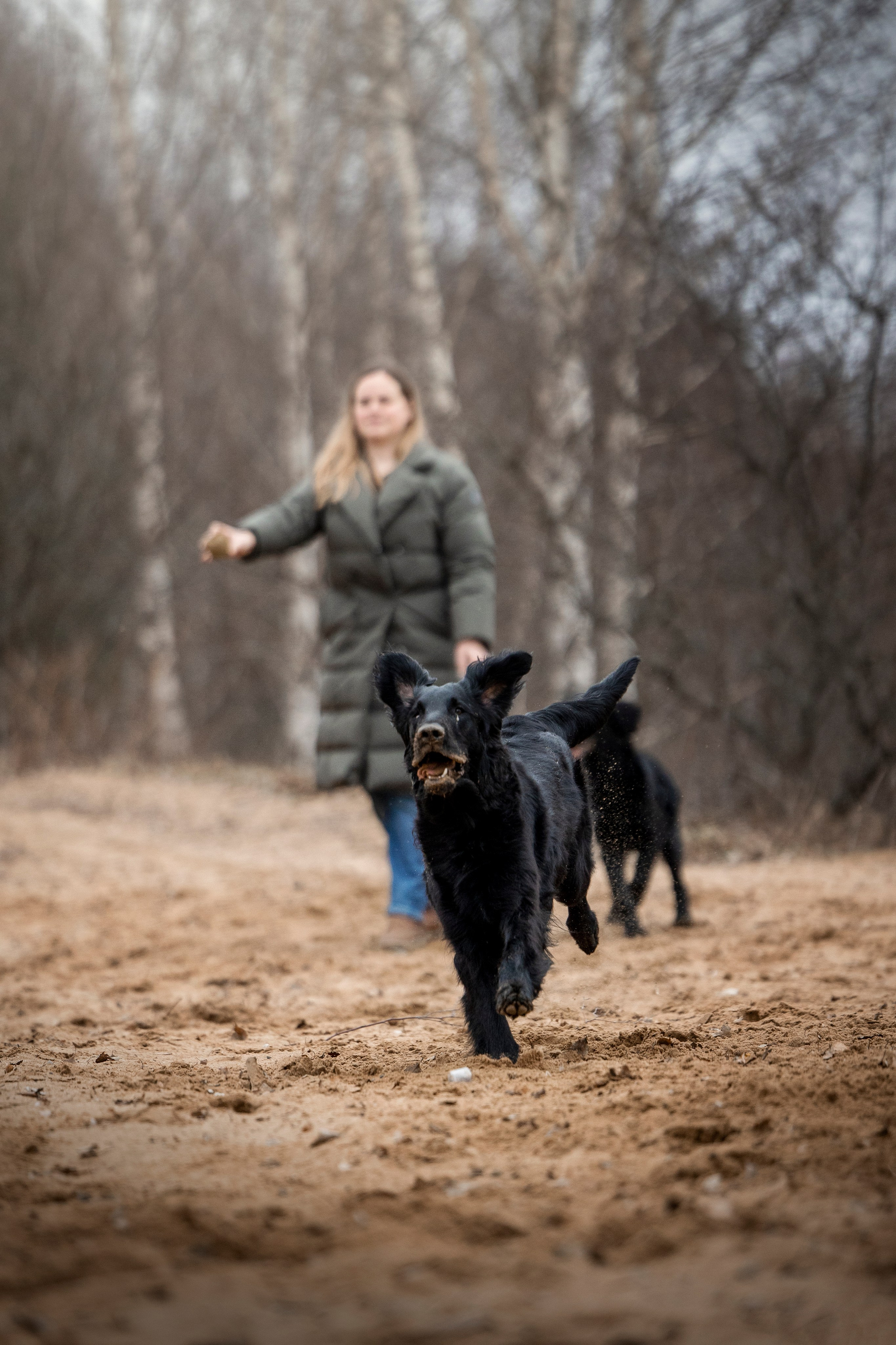 Ора, Ева, Рози и их семья. Фотограф — Анималист | Санкт-Петербург