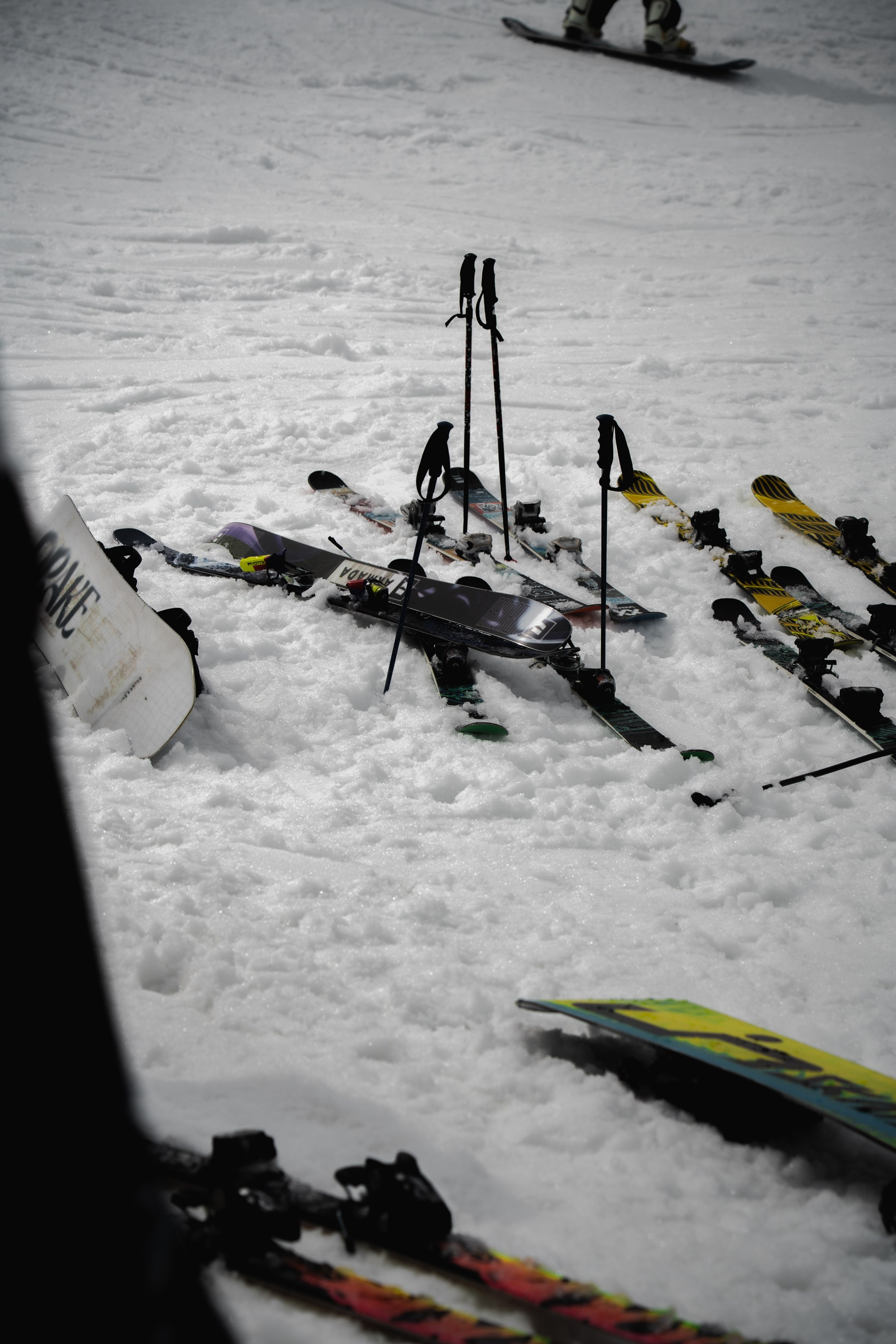 Yandex 360 & NewStarCamp