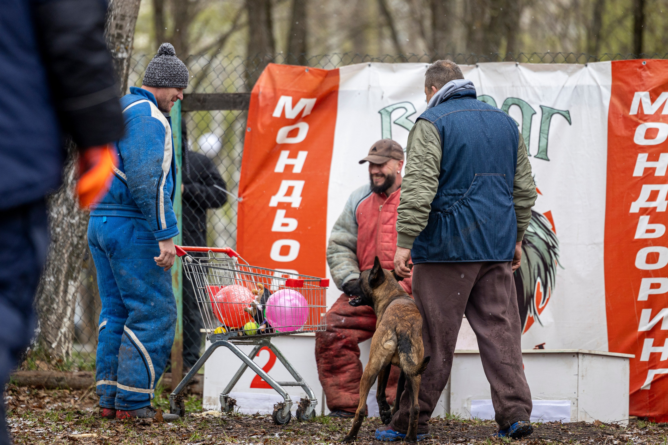 Квалификационные состязания по мондьорингу г. Вологда 11.05.24. Фотограф-анималист Анна Маринич