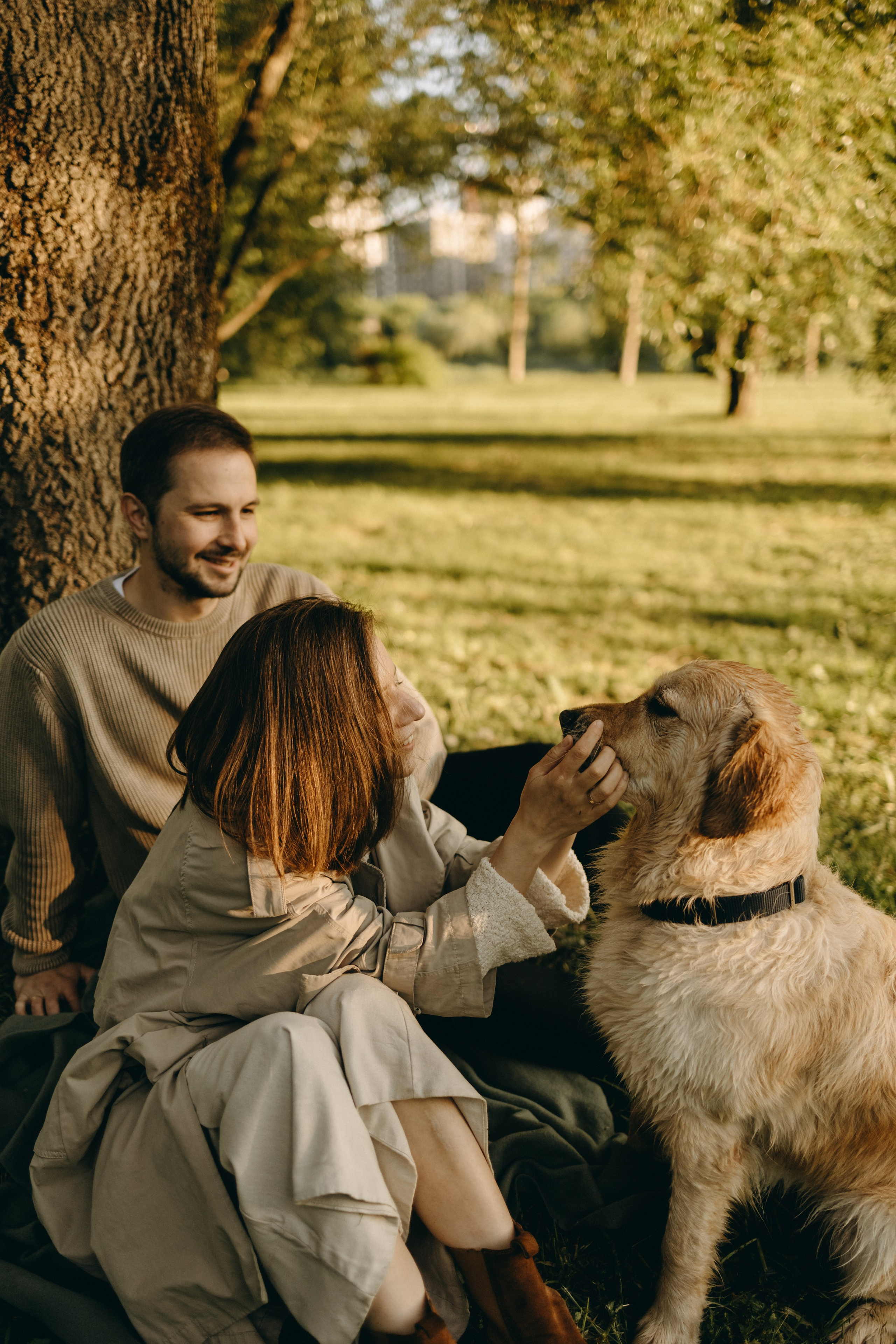 Пенни и ребята. Фотограф — Анималист | Санкт-Петербург
