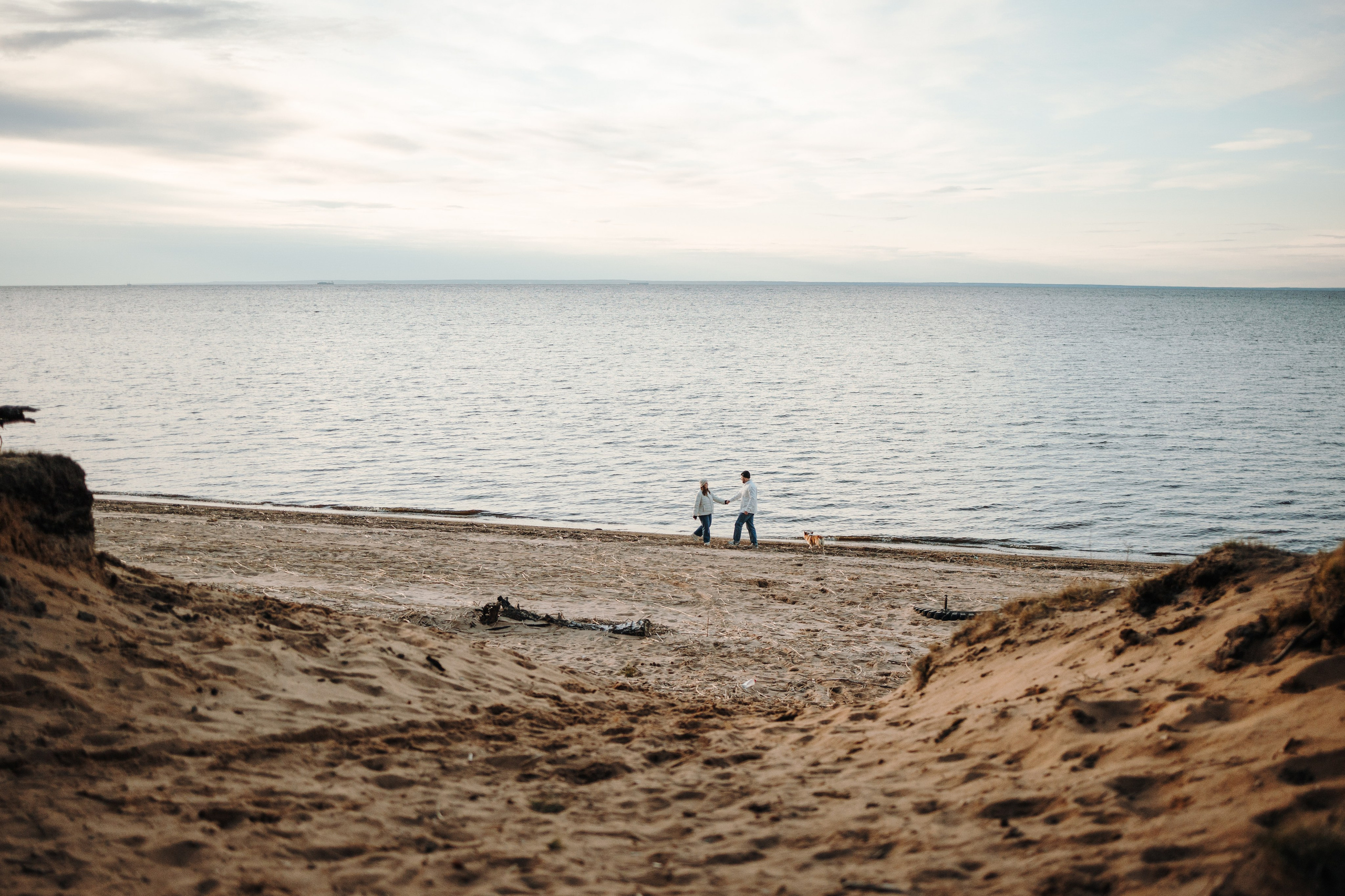 Найт и его семья. Фотограф — Анималист | Санкт-Петербург
