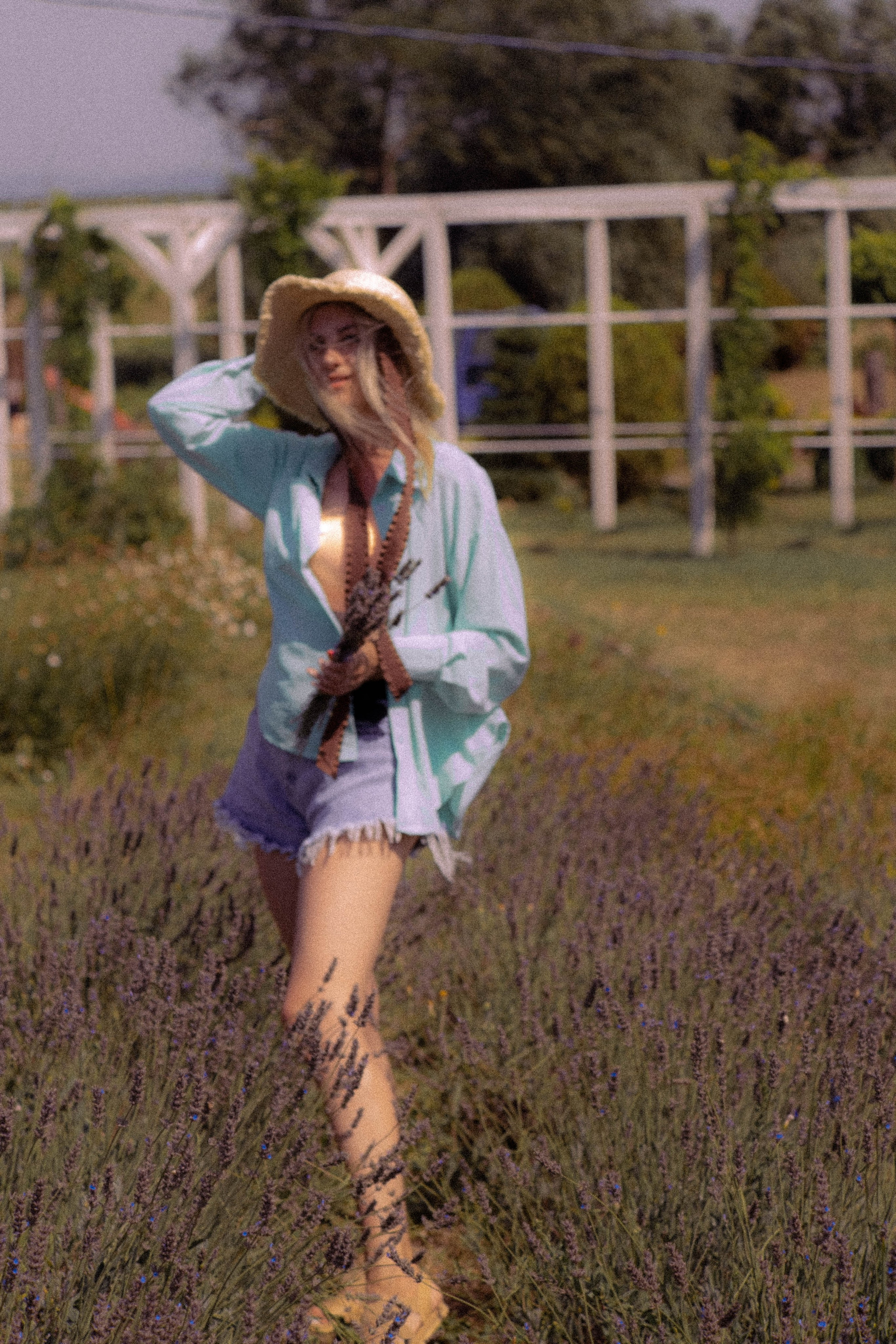 ЛАВАНВОДОВОЕ ПОЛЕ. Профессиональный фотограф, Санкт-Петербург — Виктория Богомолова