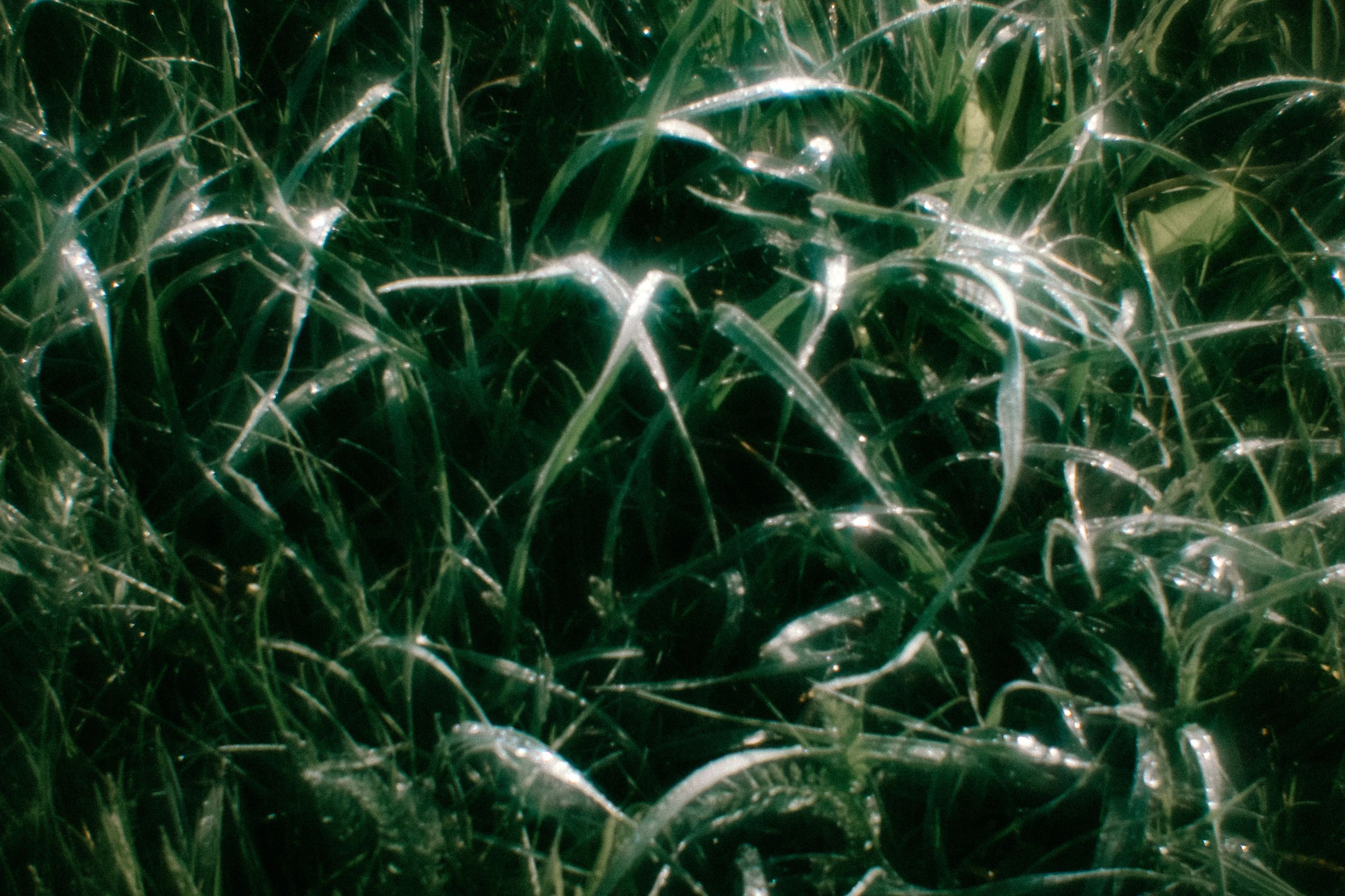 Поэзия повседневности. Семейный фотограф в Москве Марина Аргунова